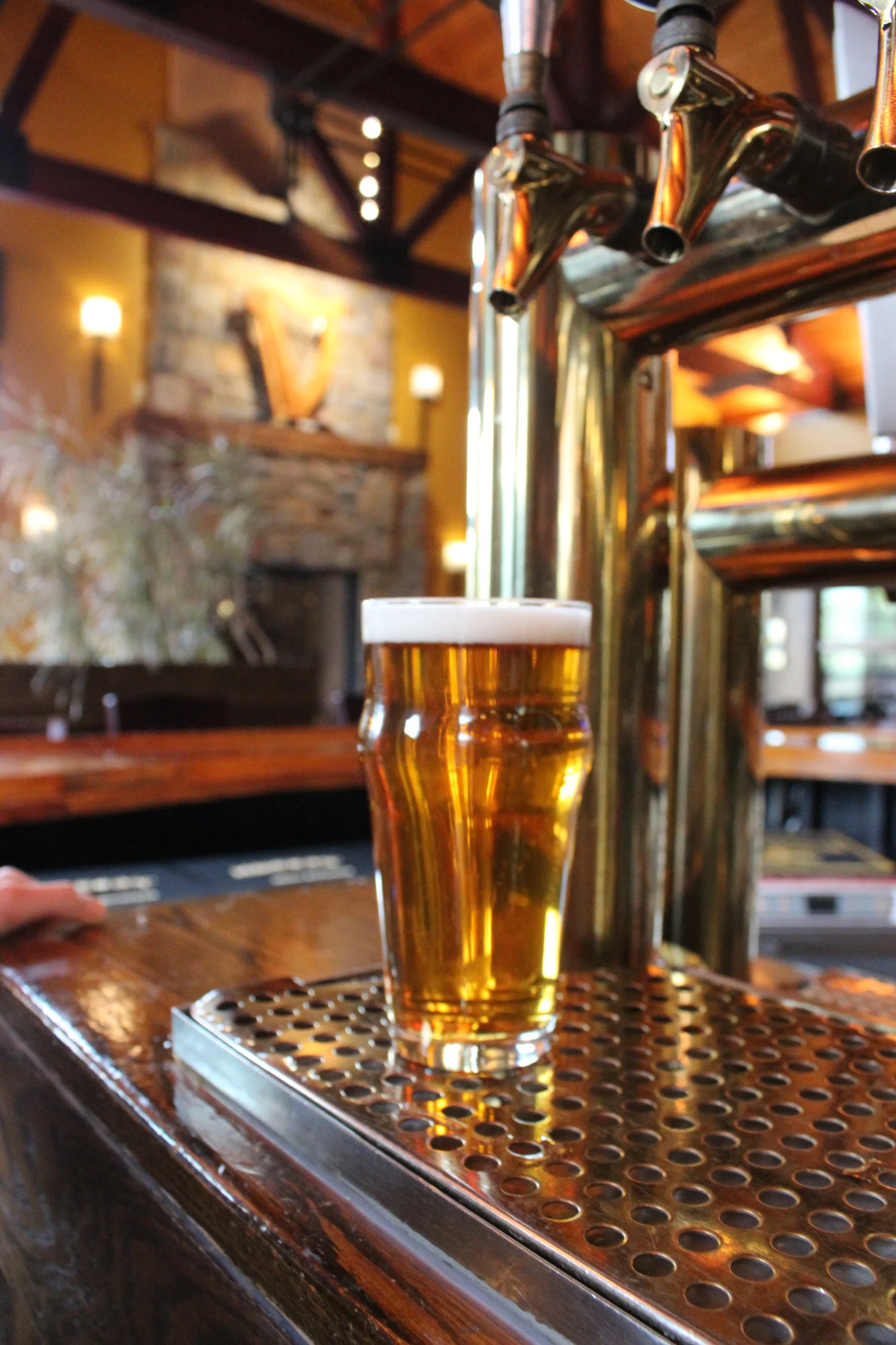 Blue Bird Inn | Discover & Dine Today — Book Your Visit