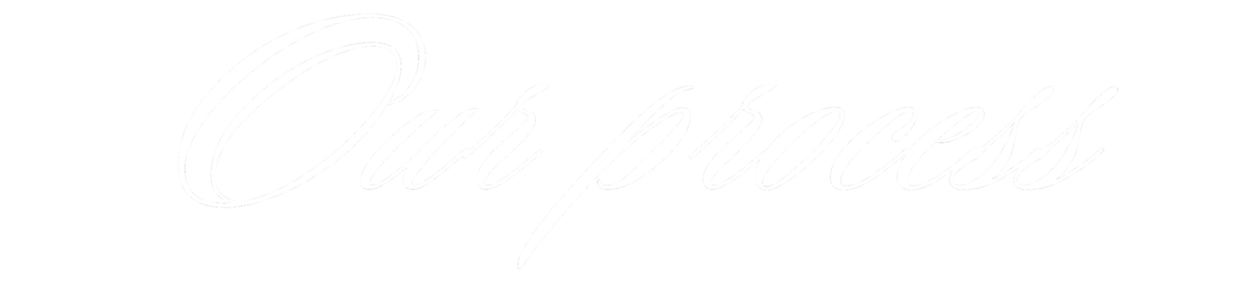 Text saying 'Our process' in white script on a black background.