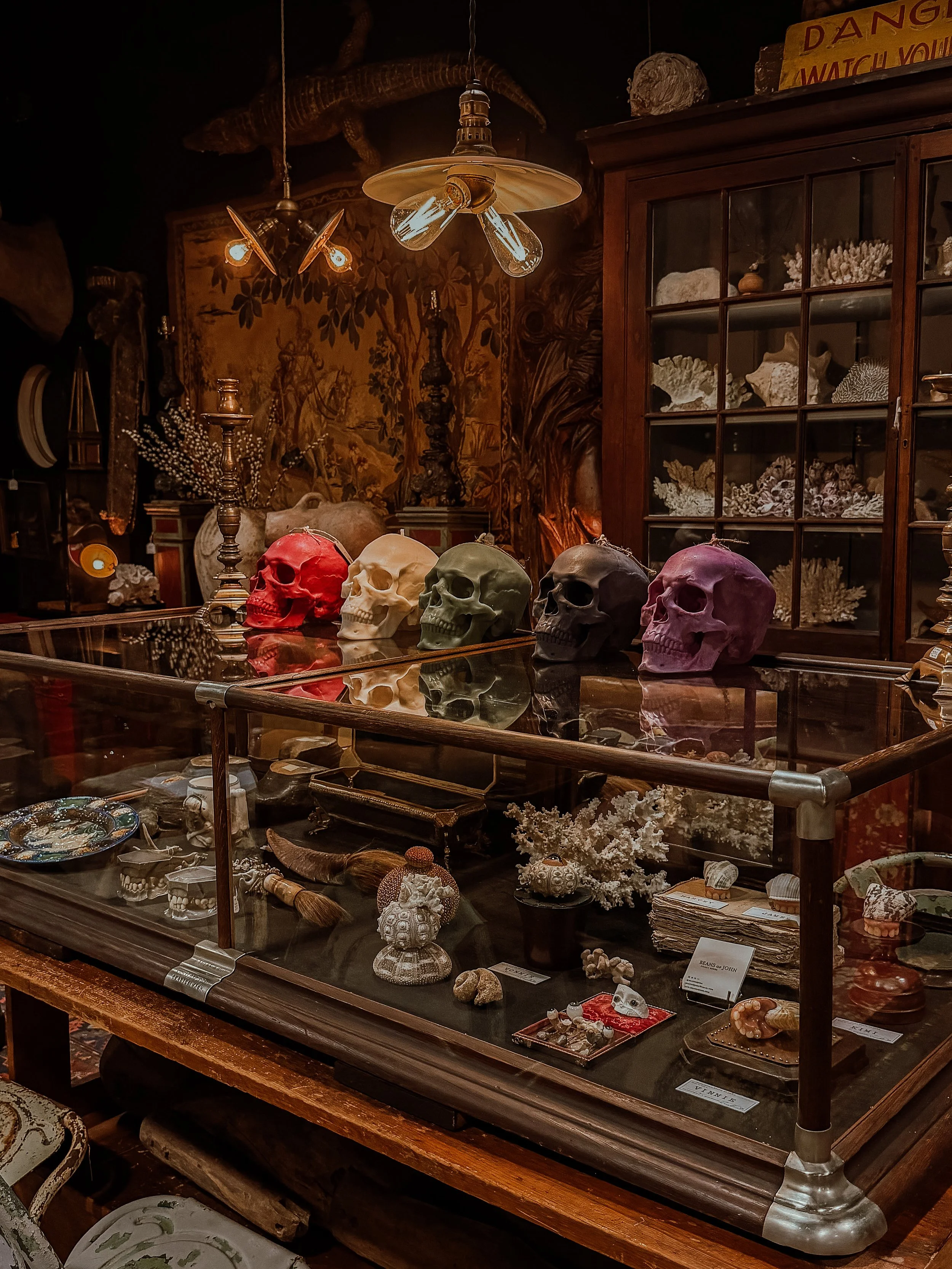 Five colorful skull models stained in red, yellow, green, gray, and purple displayed inside a glass case in a room filled with antique items and decorations.