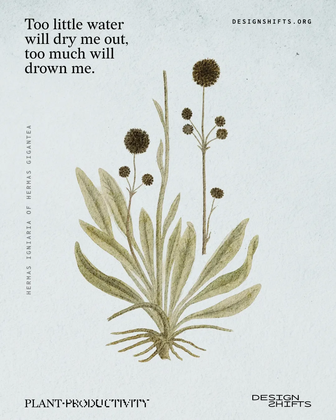 image of a plant with the text Too little water will dry me out, too much will drown me.