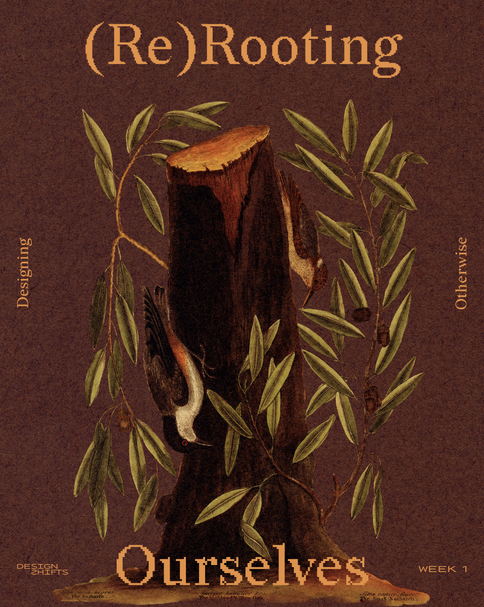 (Re)Rooting Ourselves.png