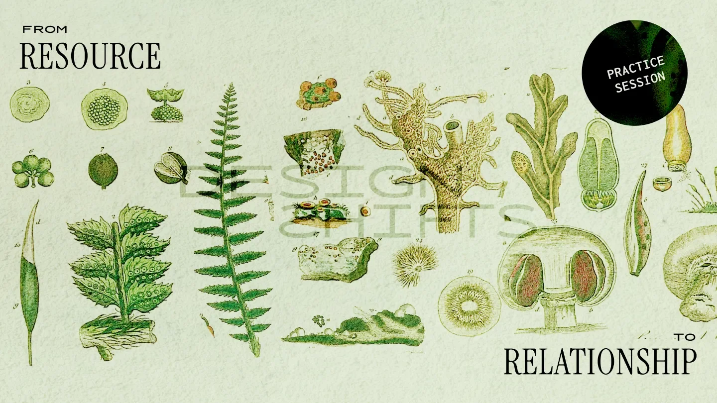 images of various plants with the text from resource to relationship