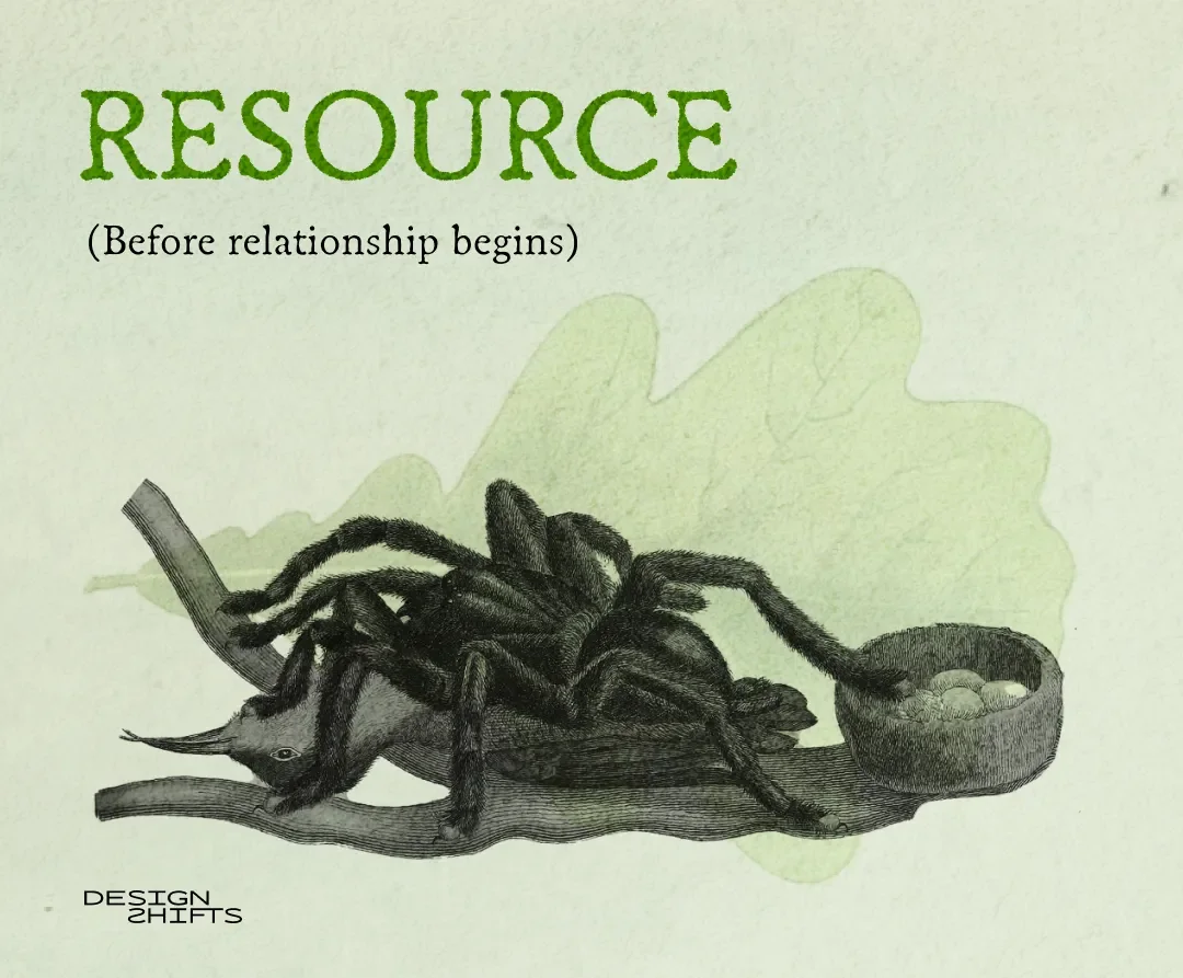 image for spider eating eggs. Text says nature is a resource