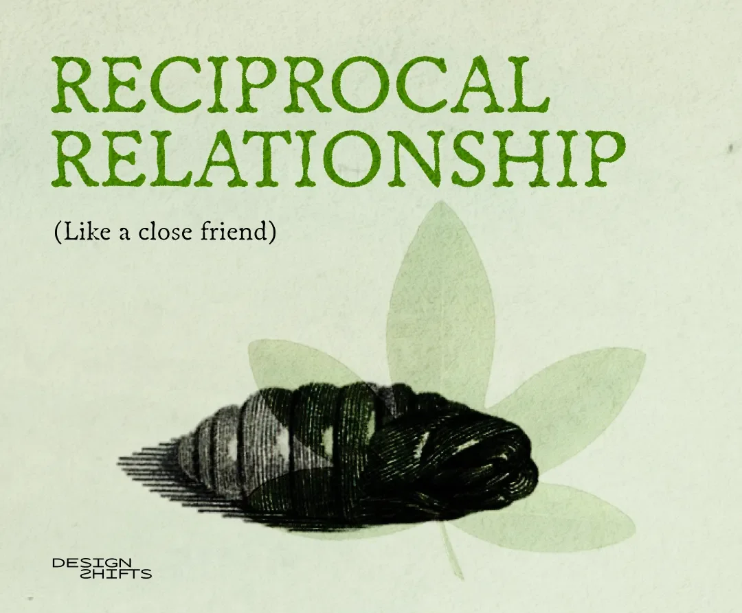 Text says reciprocal relationship. image of a cocoon