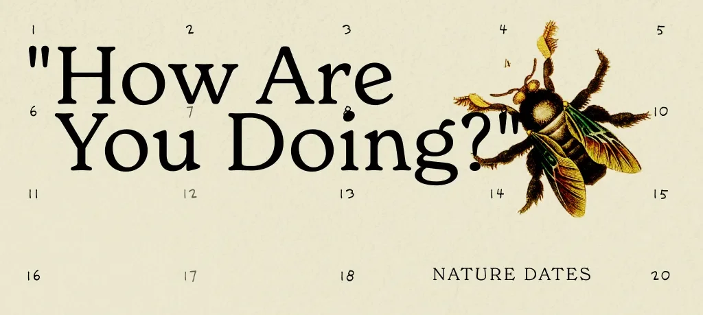 graphic with a bee with the text how are you doing. An exercise in reading a response that isn't spoken.