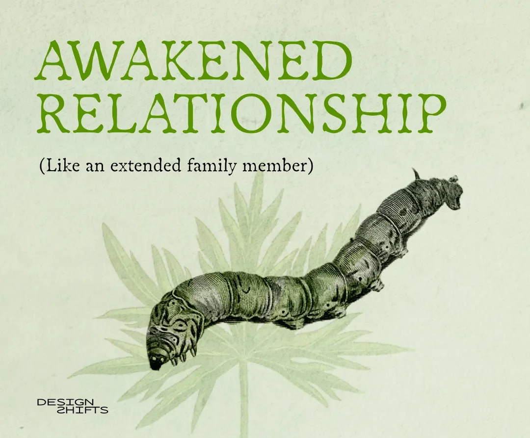 showing the text awakened relationship and a larva