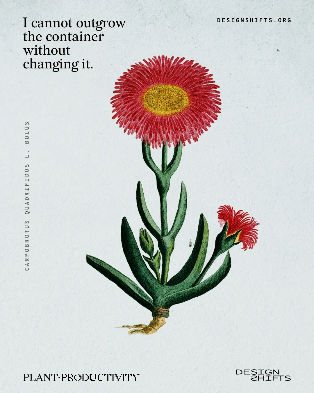 imge of a plant with the text I cannot outgrow the container without changing it.