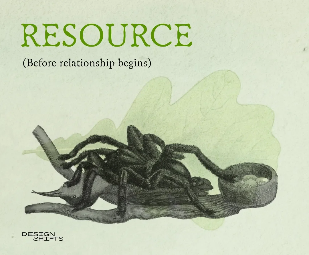 image for spider eating eggs. Text says nature is a resource