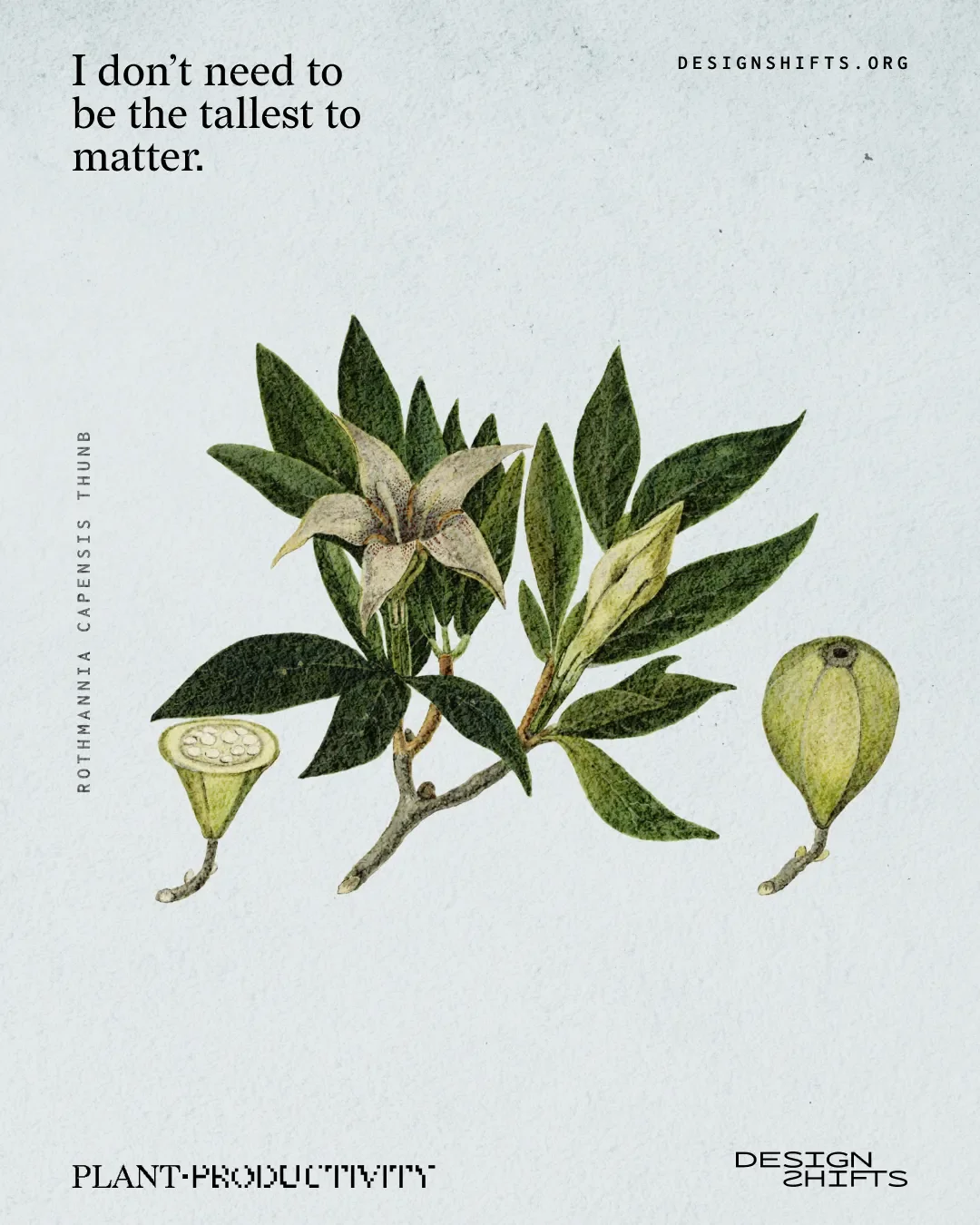 image of a plant with the text I don’t need to be the tallest to matter.