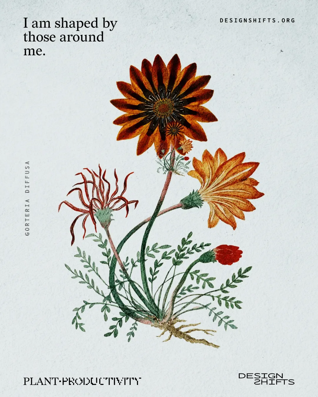 image of a plant with the text I am shaped by those around me.