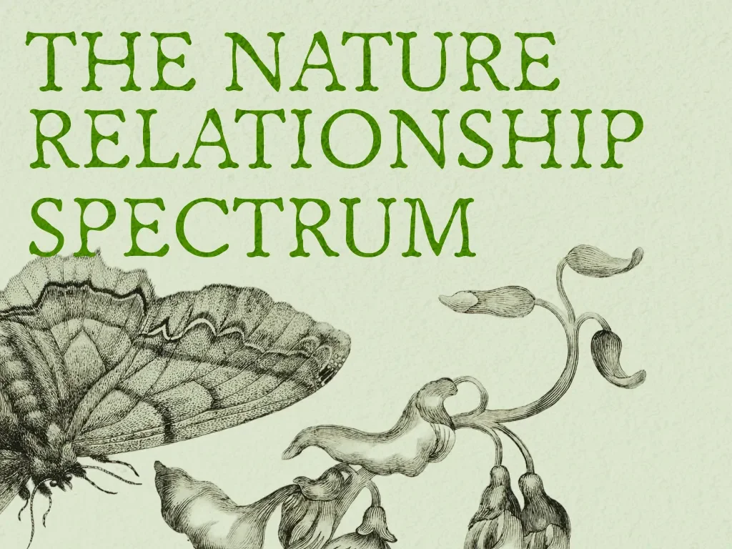 butterflies and the text The Nature relationship spectrum