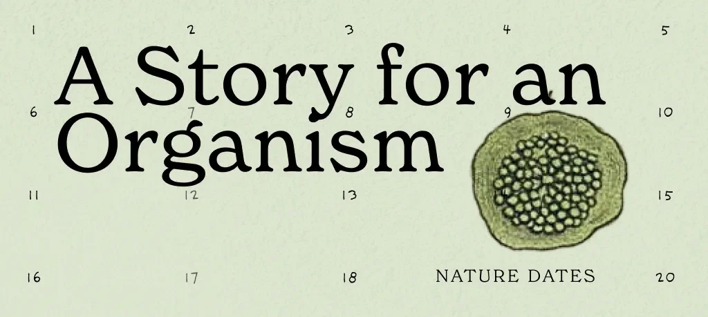an abstract graphic and the text A story for an Organism