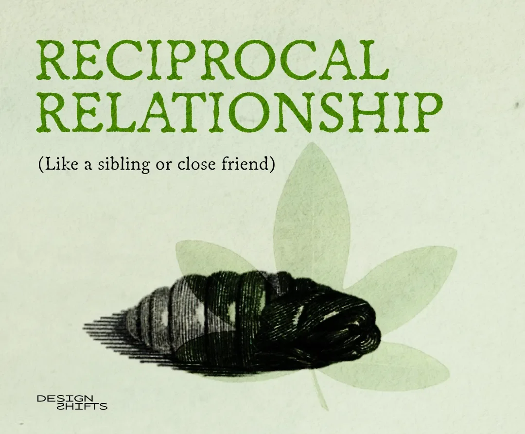 Text says reciprocal relationship. image of a cocoon
