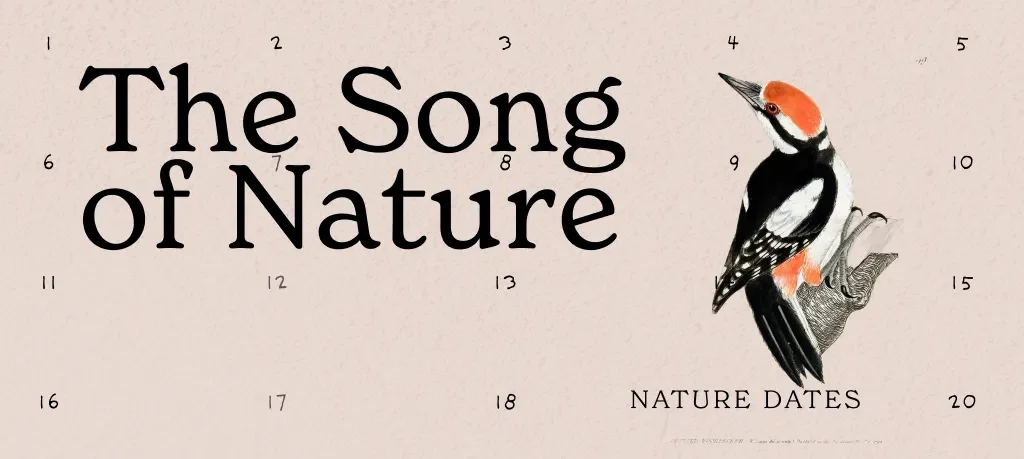 a bird and the text the song of nature