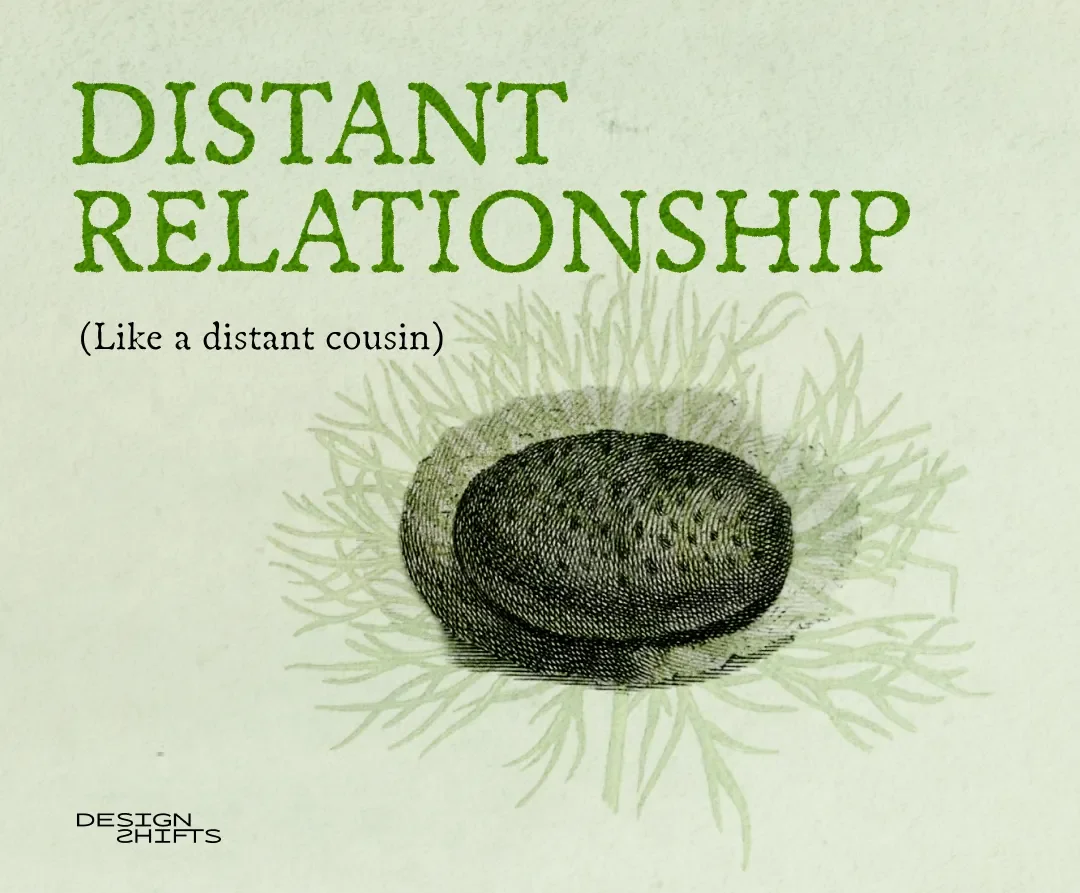 image of an egg that says distant relationship