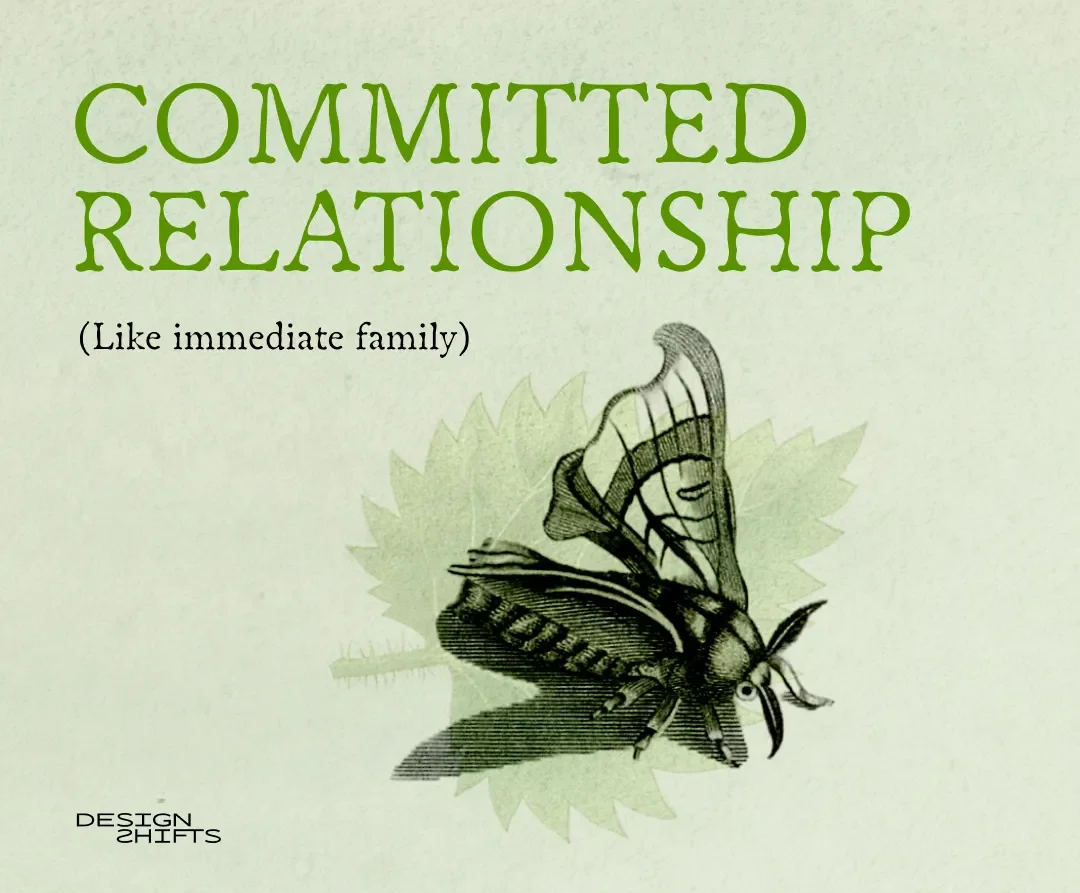 image of a moth. and the text committed relationship