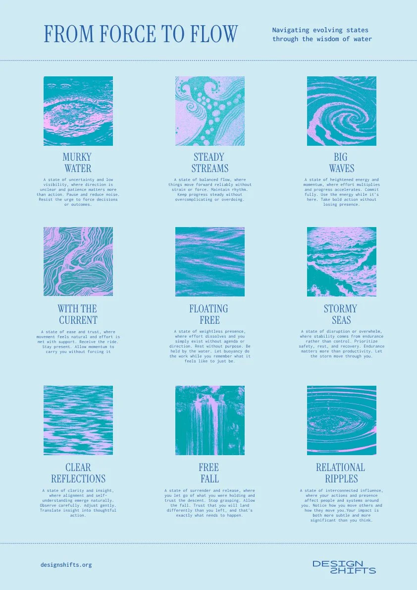 Image of poster for from force to flow showing all states