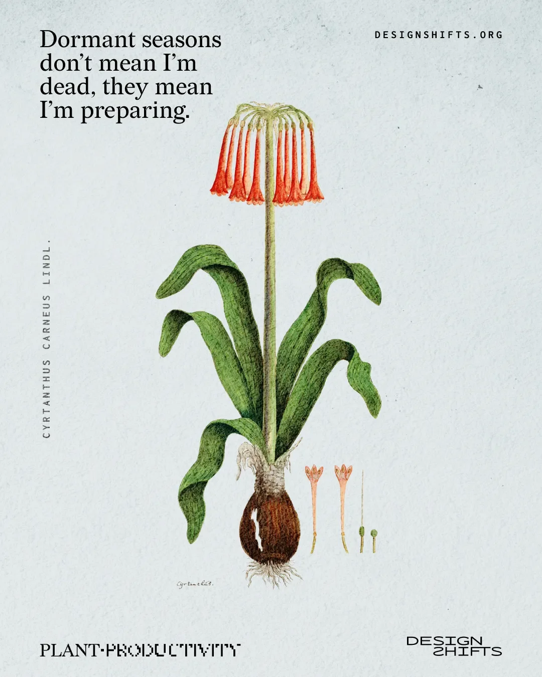 image of a plant with the text Dormant seasons don’t mean I’m dead, they mean I’m preparing.