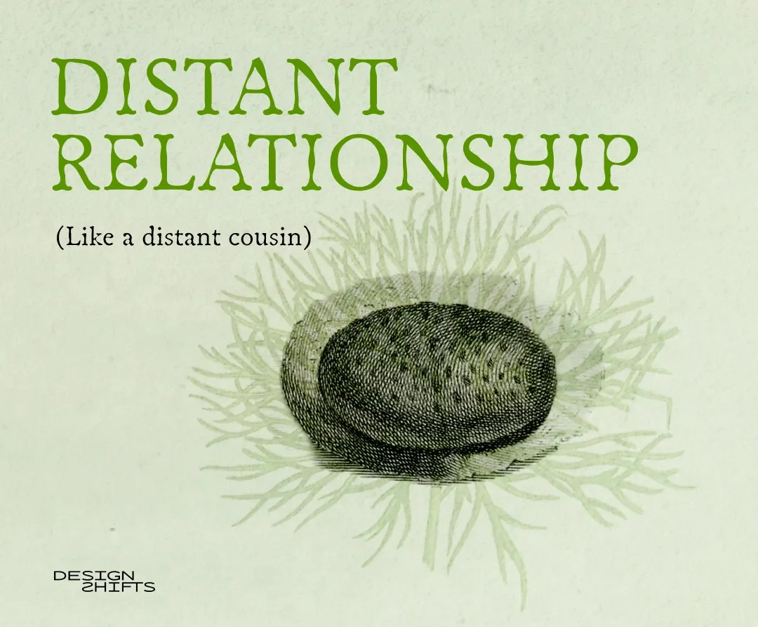 image of an egg that says distant relationship