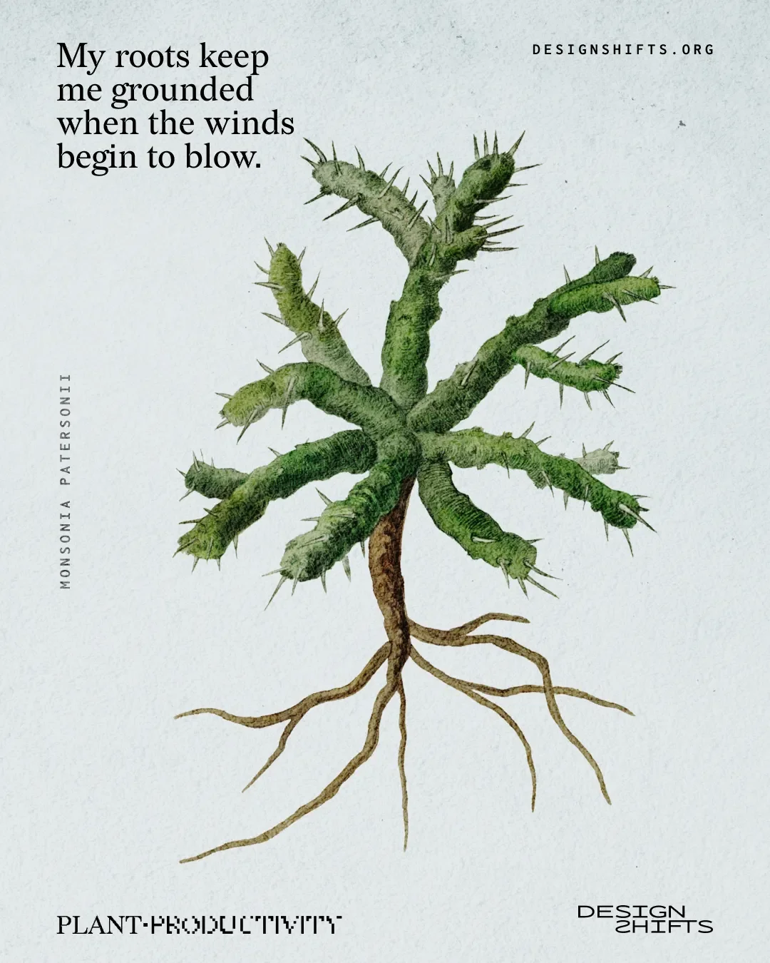 image of a plant with the text My roots keep me grounded when the winds begin to blow.