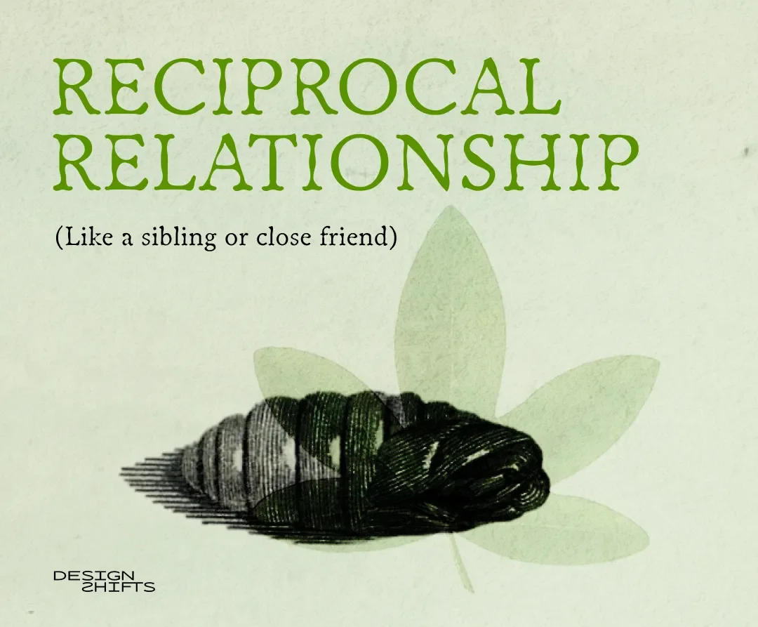 Text says reciprocal relationship. image of a cocoon