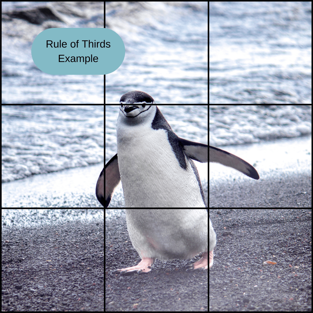 Rule of Thirds Example.png