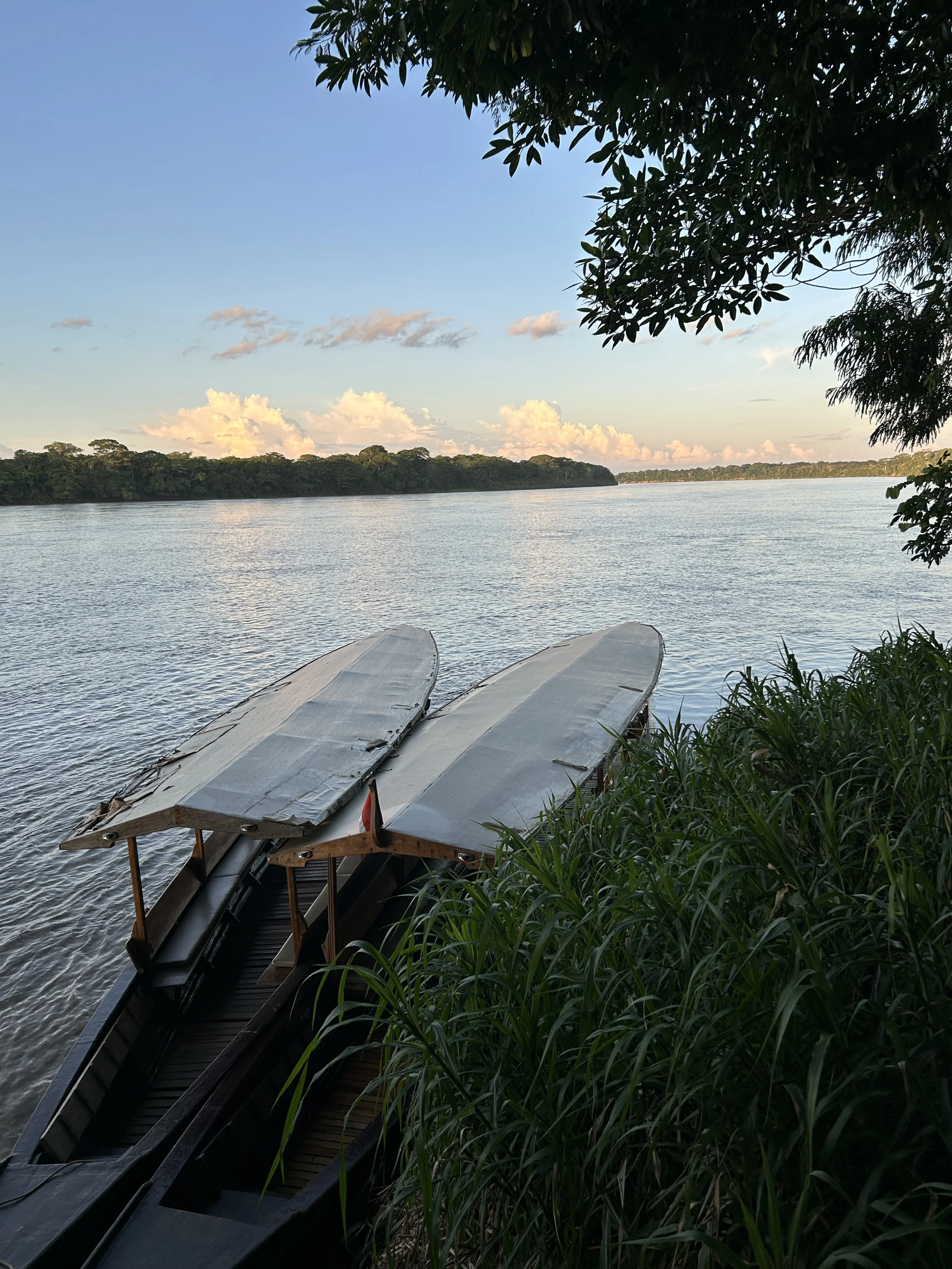 twilight rio madre peru jungle.JPG