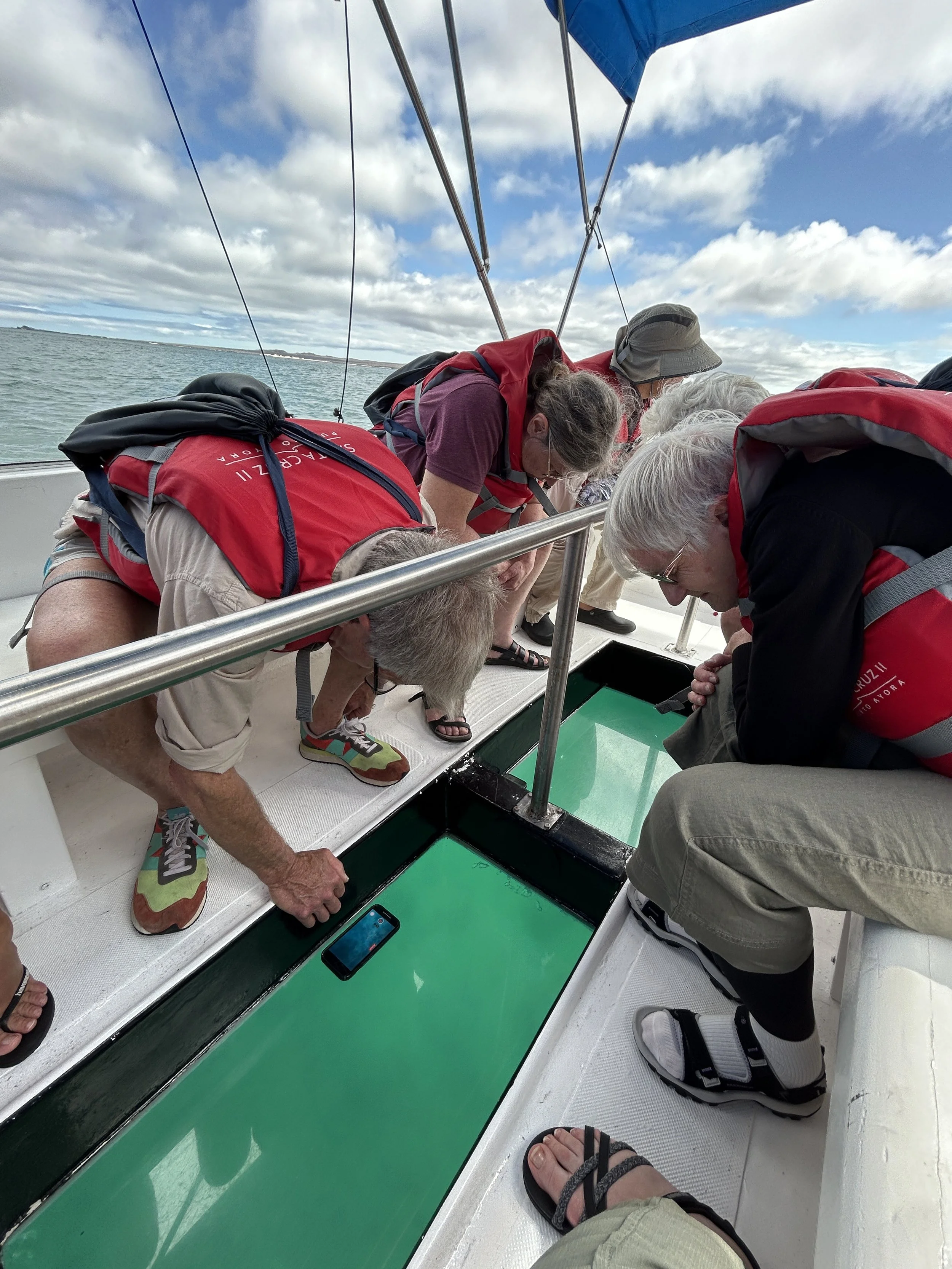 hx expeditions glass bottomed boat excursion galapagos.JPG