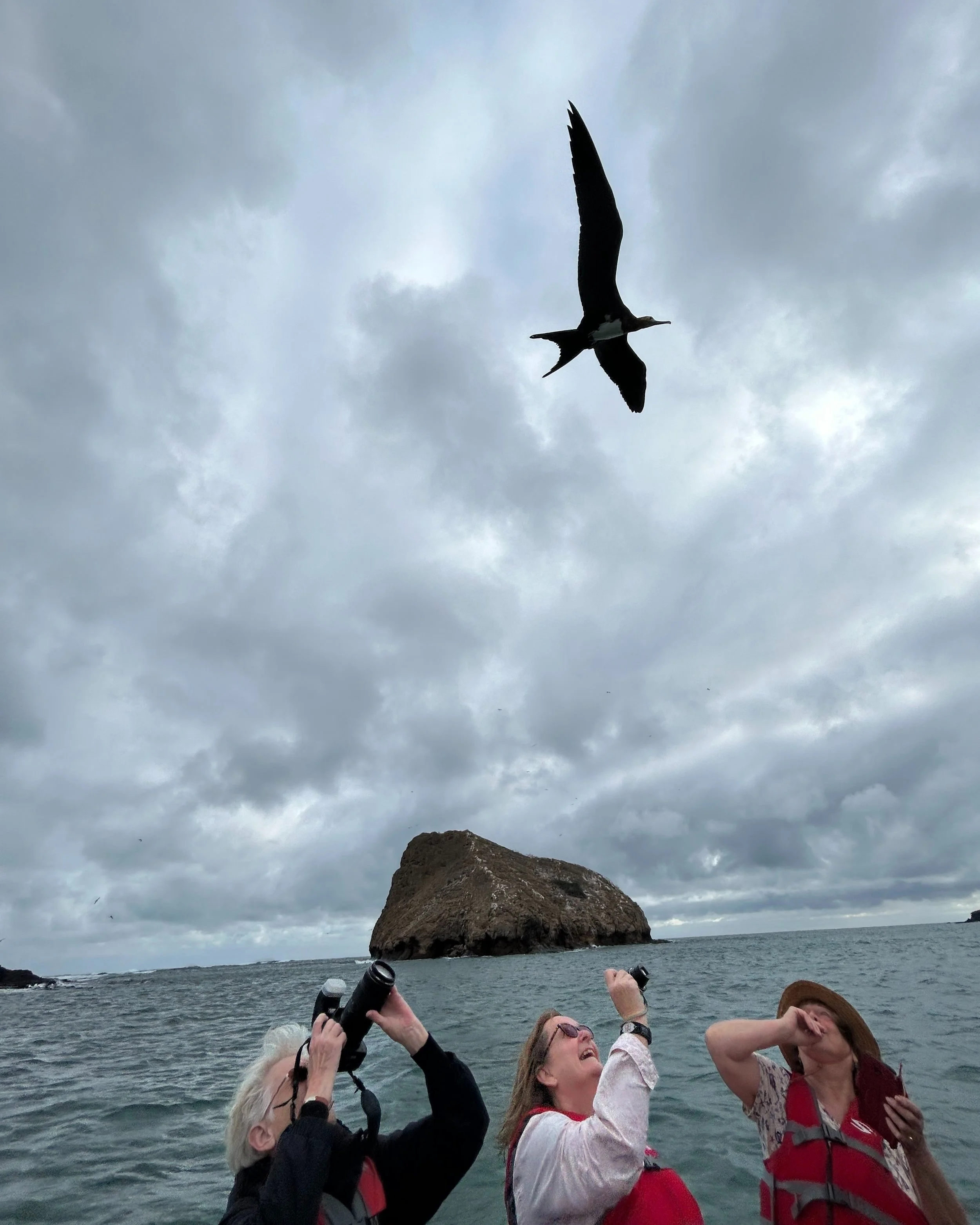 bird watching zodiac excursion galapagos.jpg