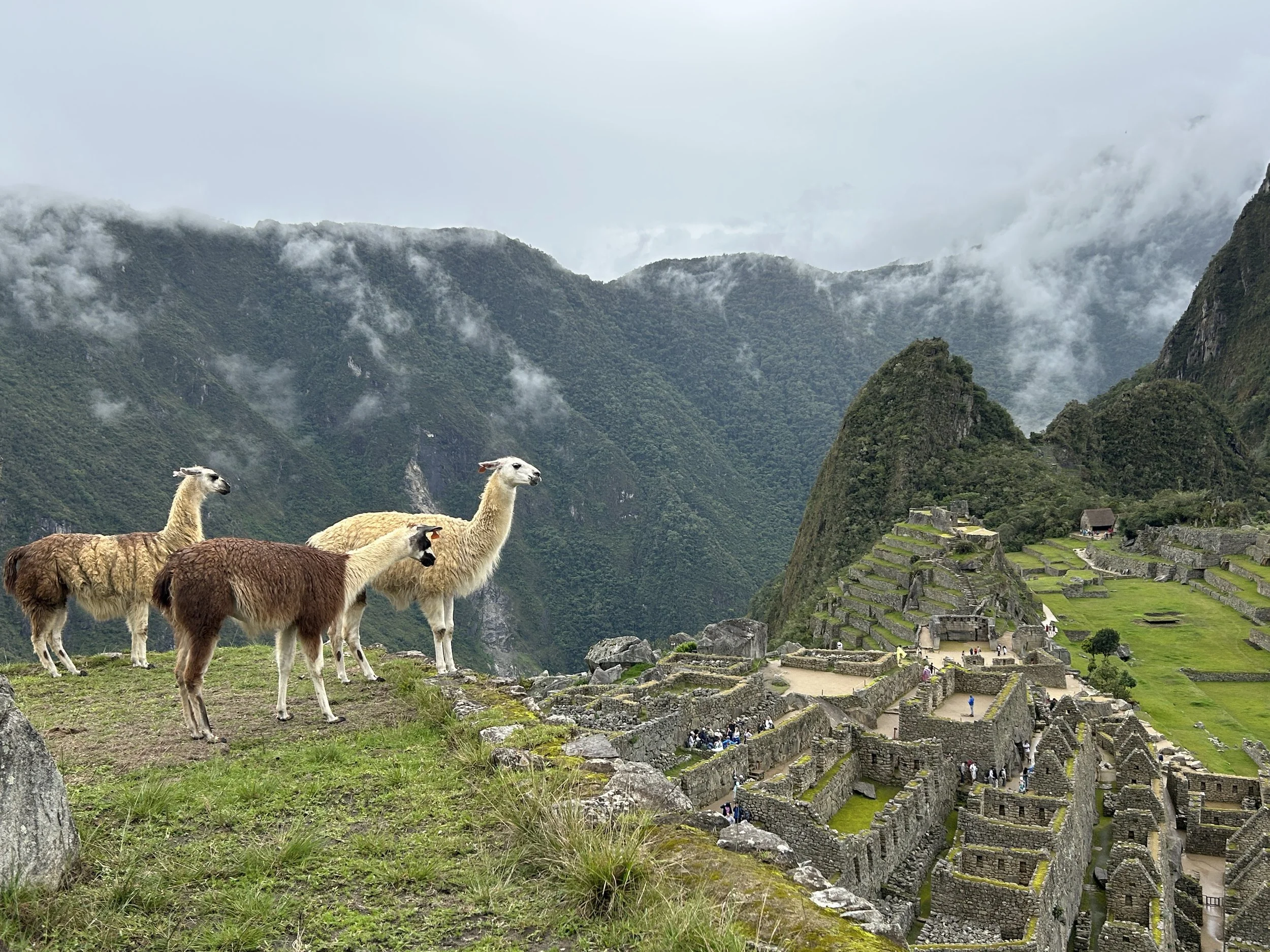 Exploring Peru: A Guide from Lima to Machu Picchu