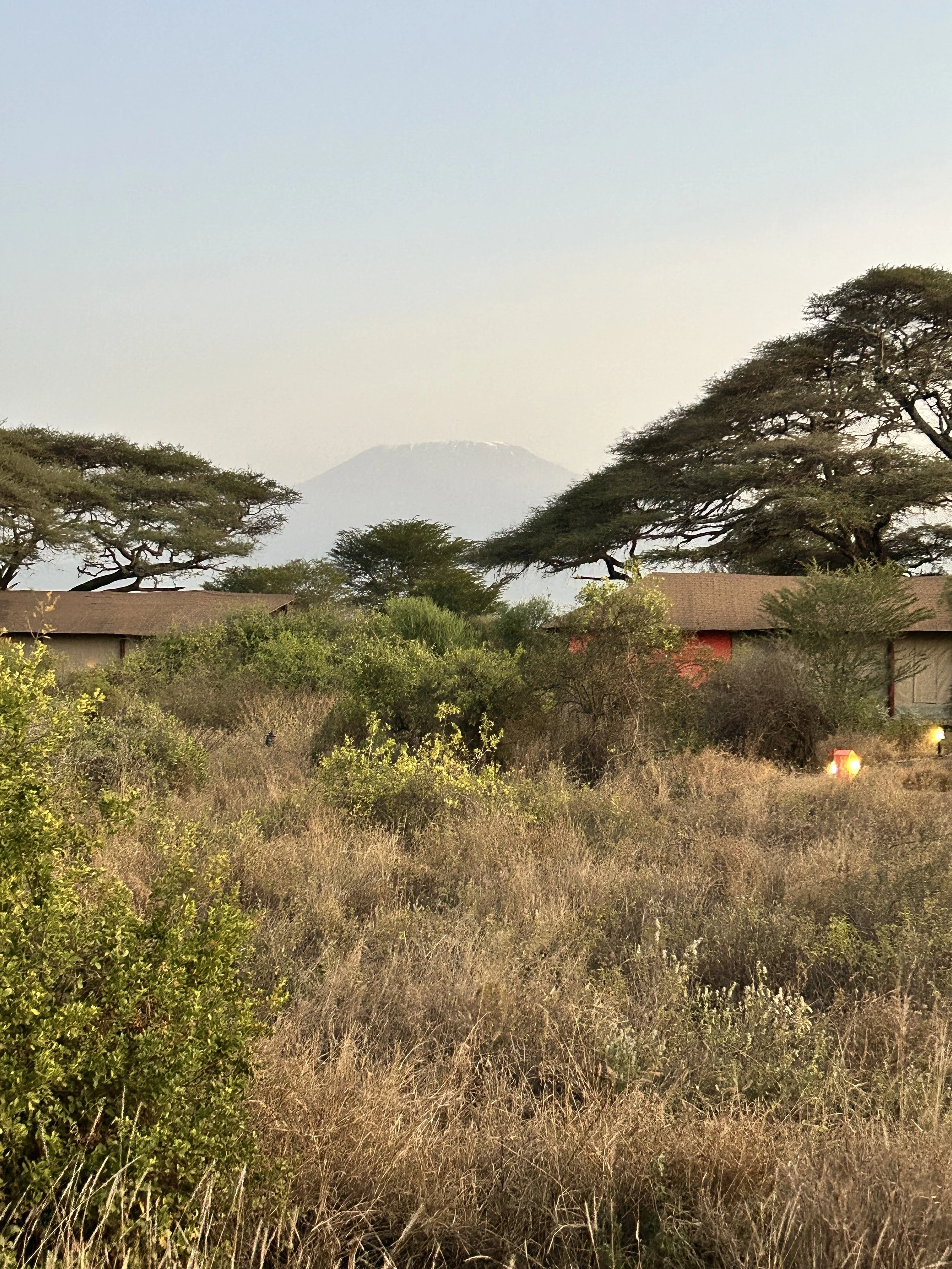 amboseli safari cabins kilimanjaro view.JPG