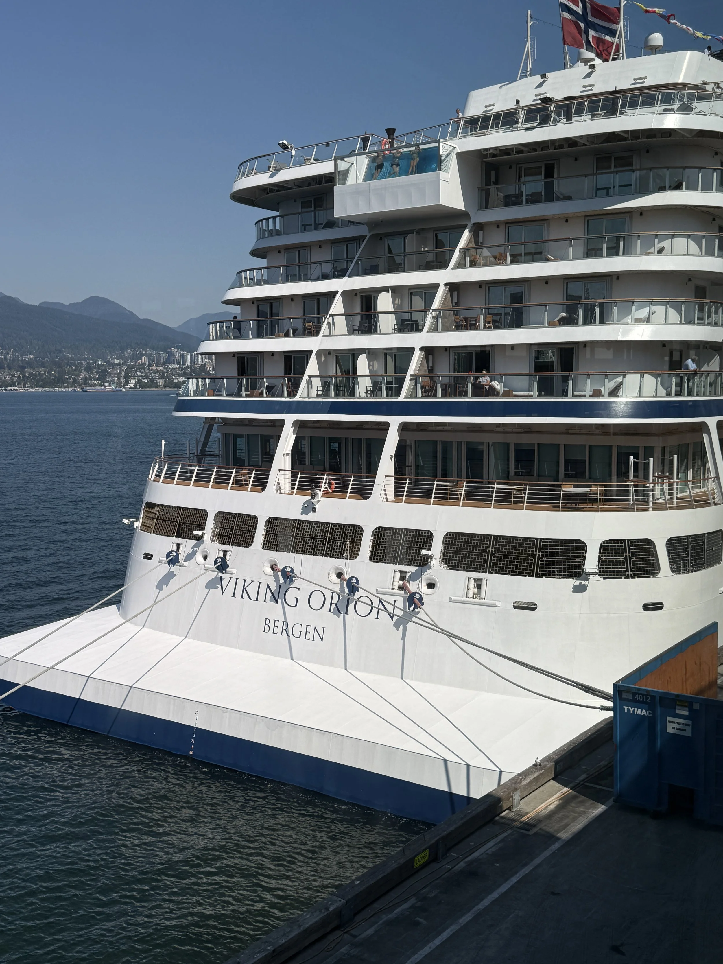 viking orion.JPG