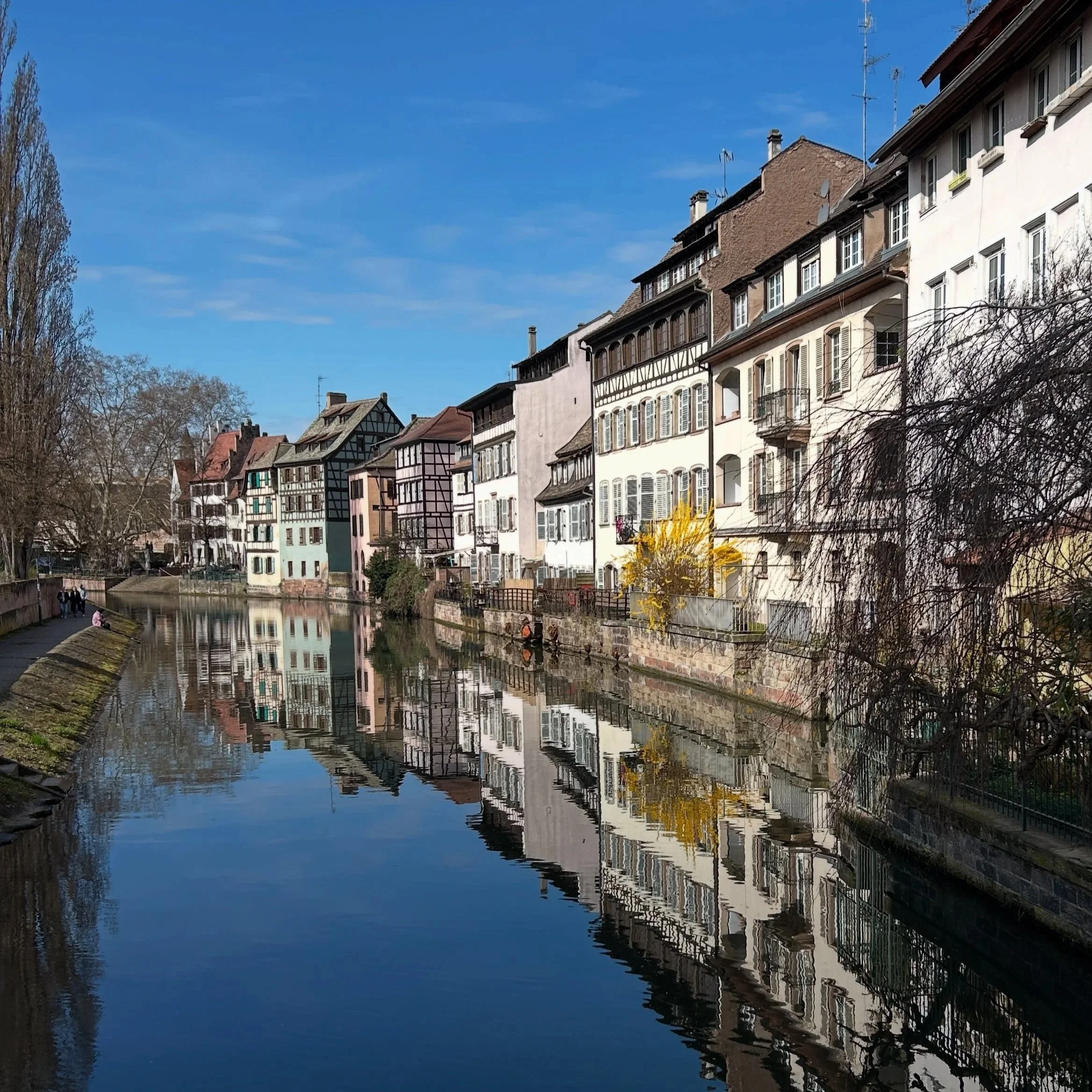 AmaWaterways River Cruises