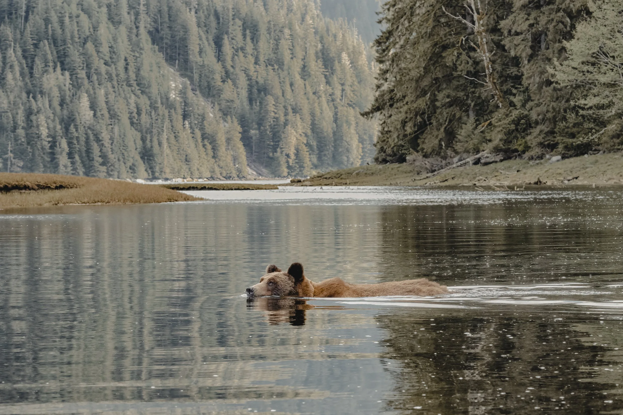 PRINCE RUPERT GettyImages-1457217635_CG (1).jpg