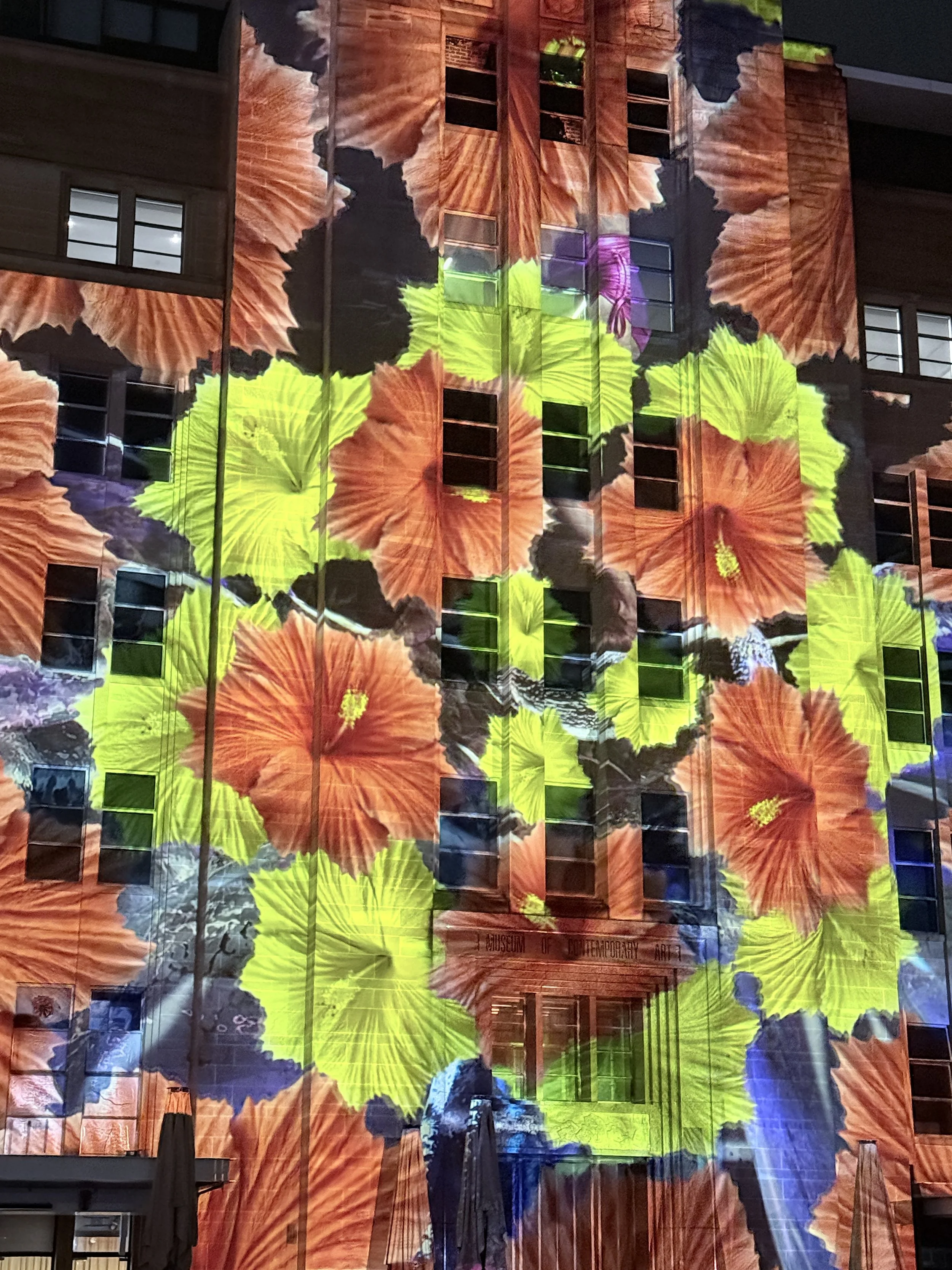 Sydney Vivid Festival.JPG