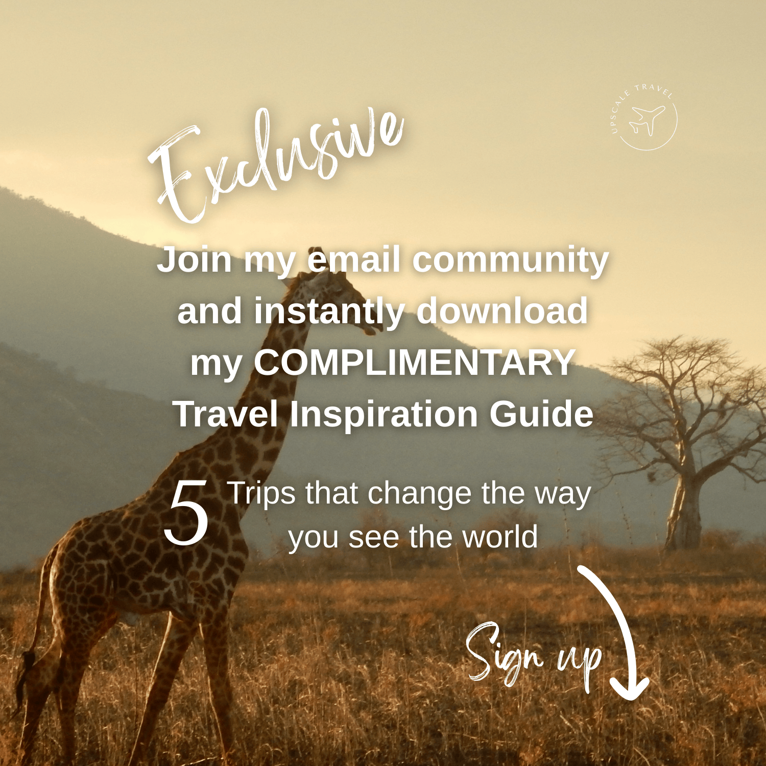 08.14.25 inspiration guide square tile for website.png