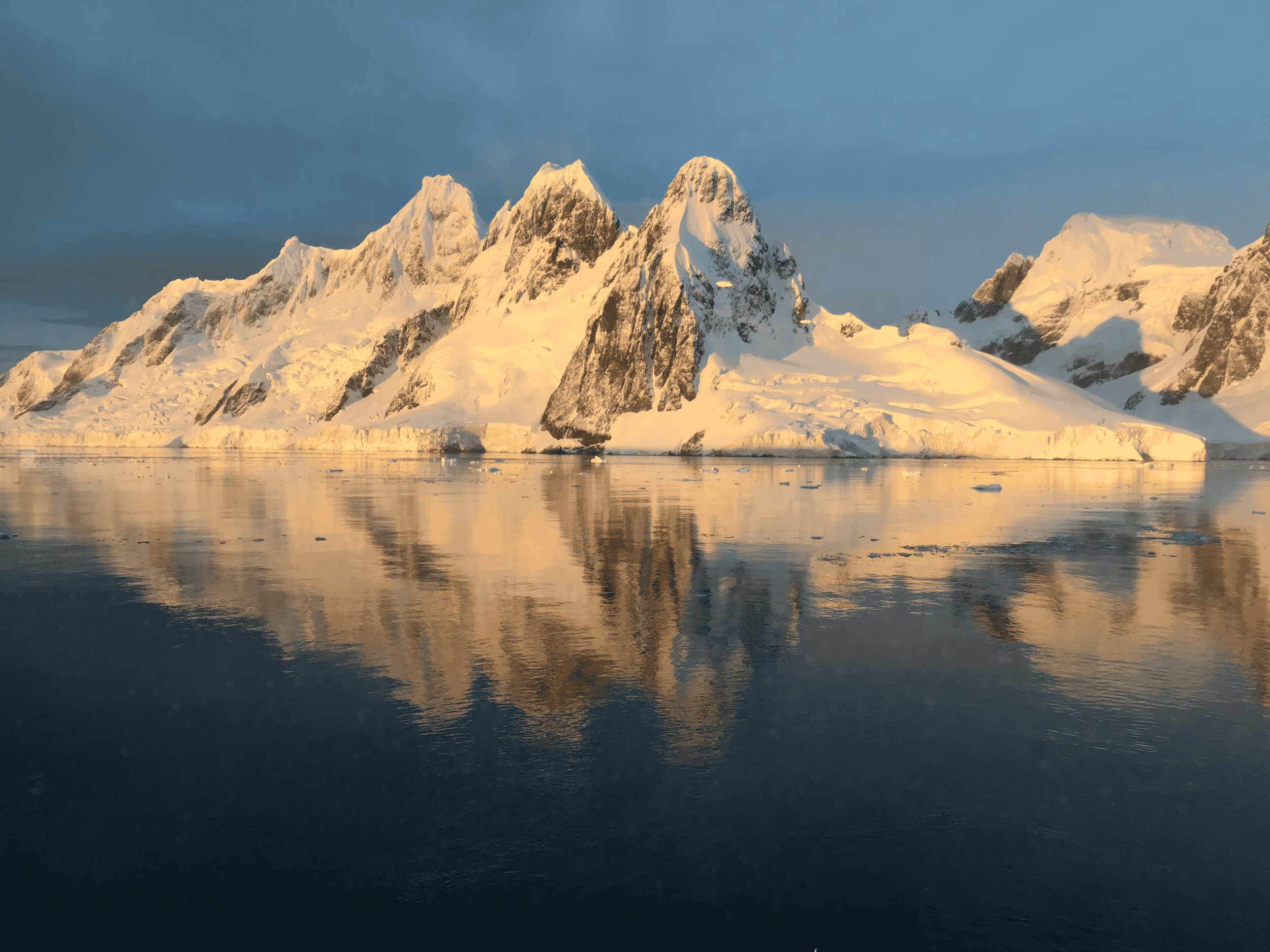antarctica expedition cruise expert virtuoso travel advisor