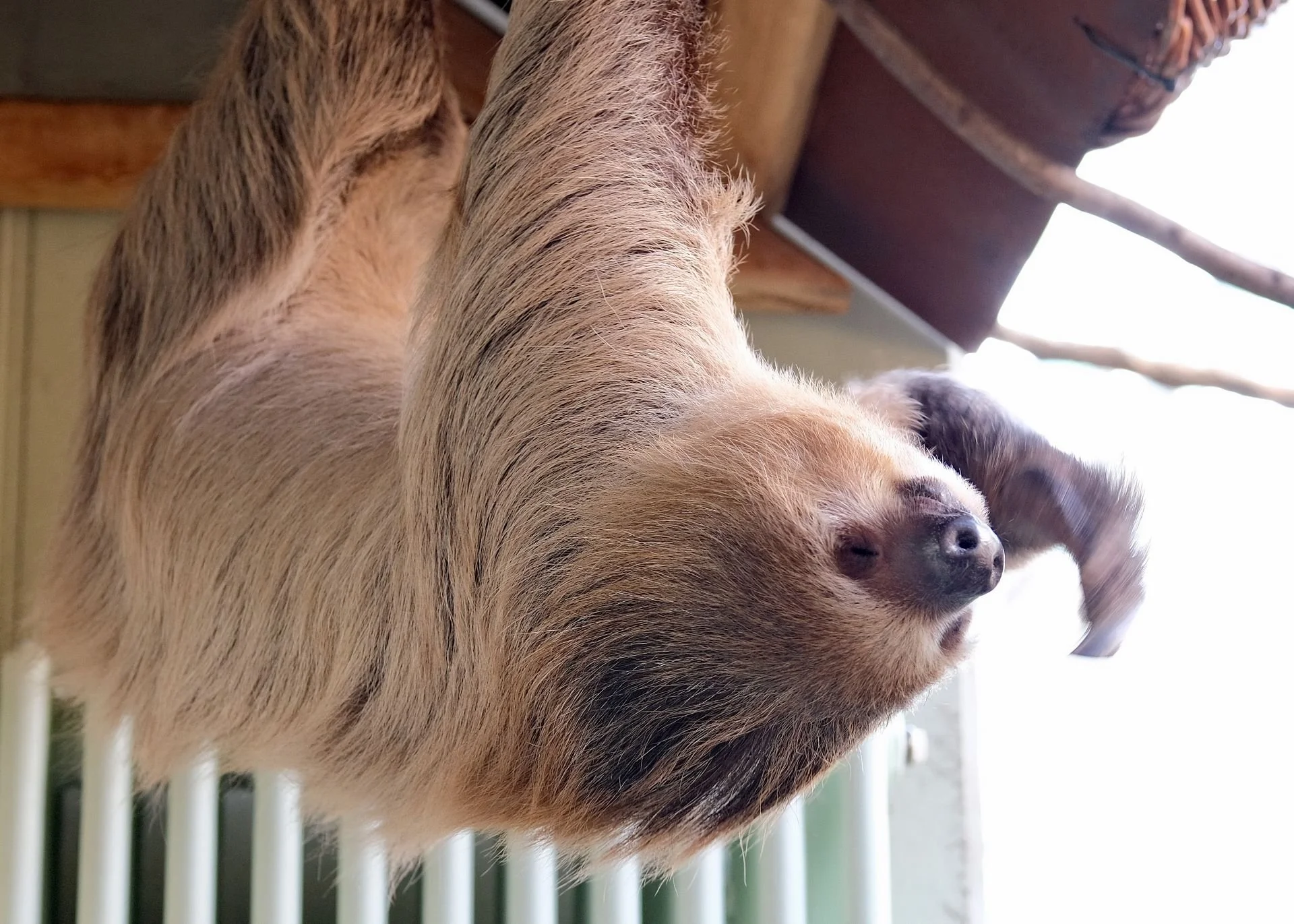reinhard-galerie-zoo3.JPG