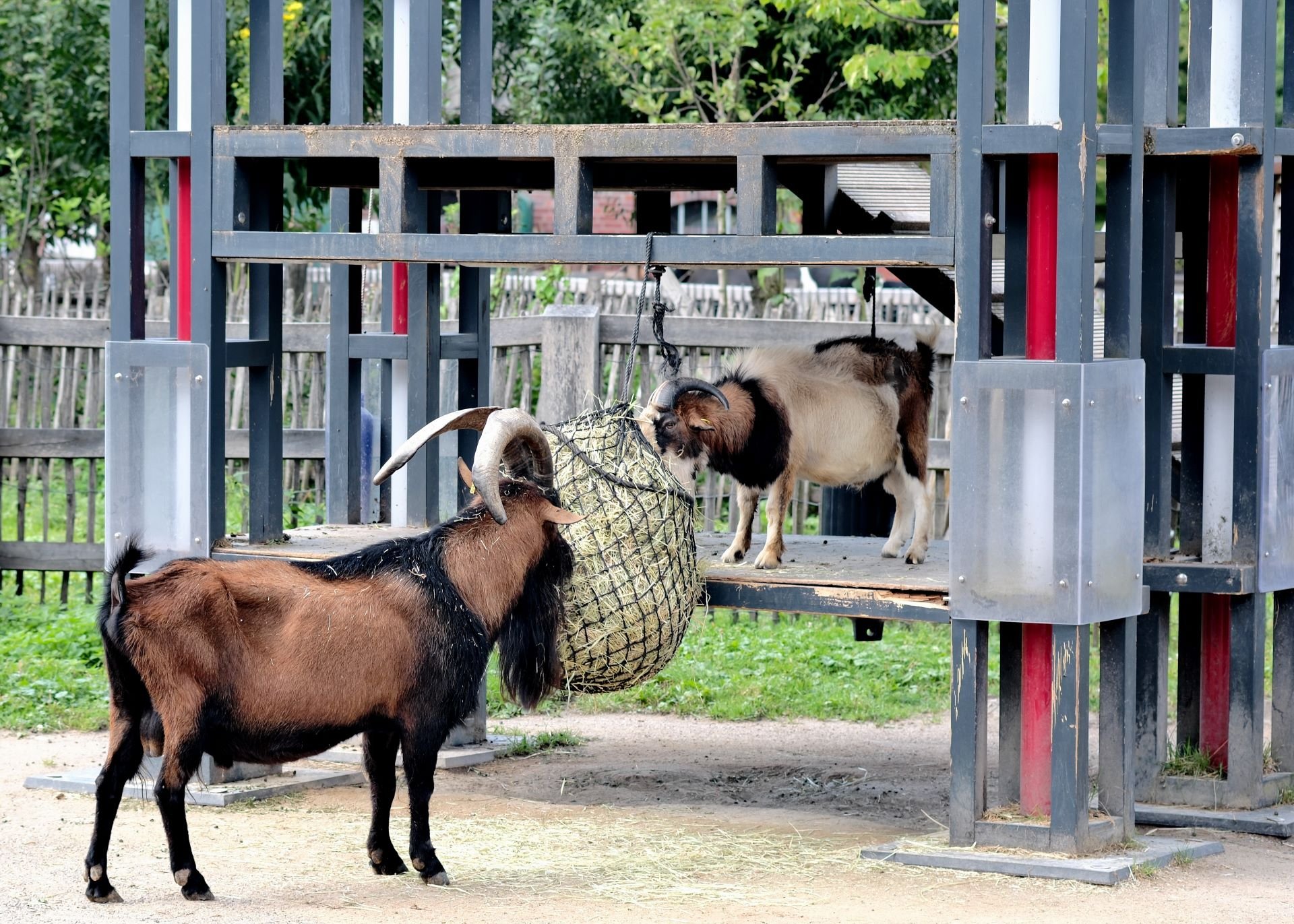 reinhard-galerie-zoo18.JPG