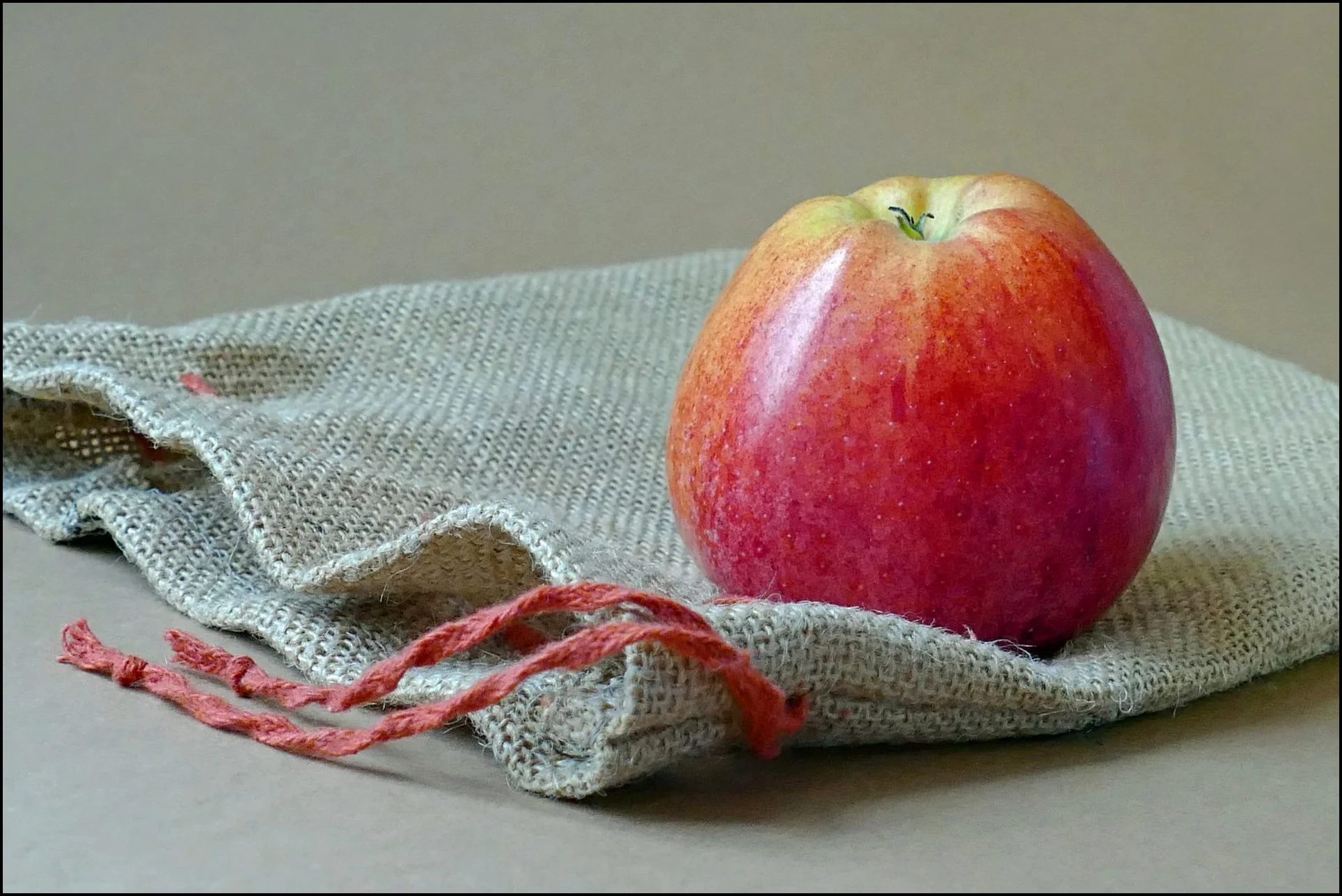 3 ursula-obst-1920.jpg