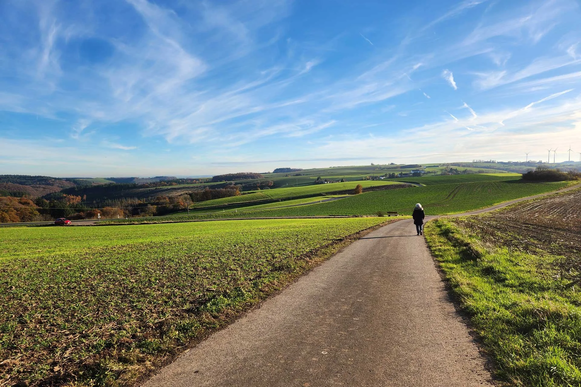 Dezember 2025: Themenfrei