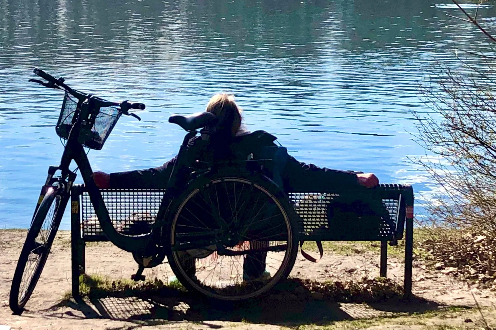 Erika - Frühling II