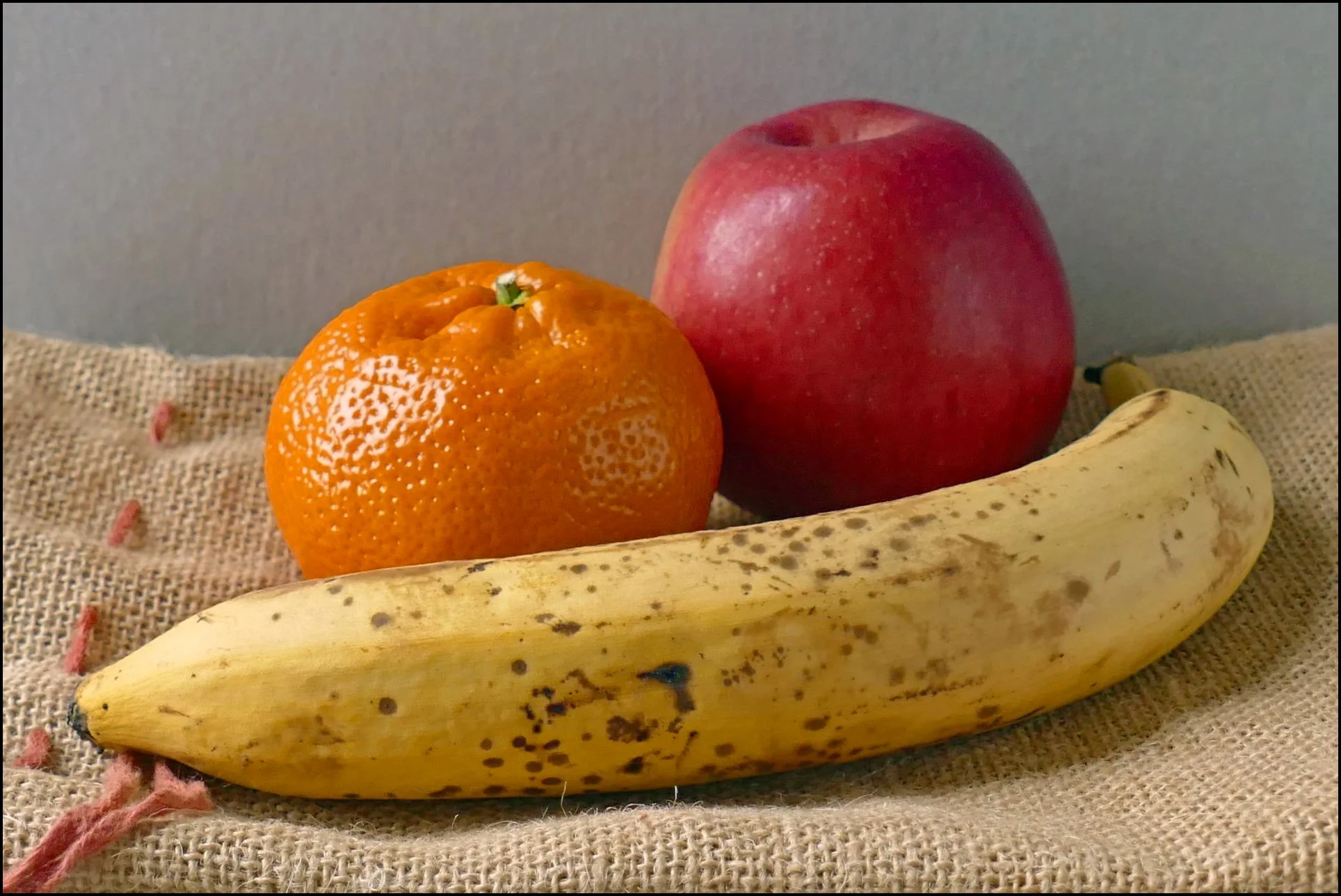 4 ursula-obst-1920.jpg