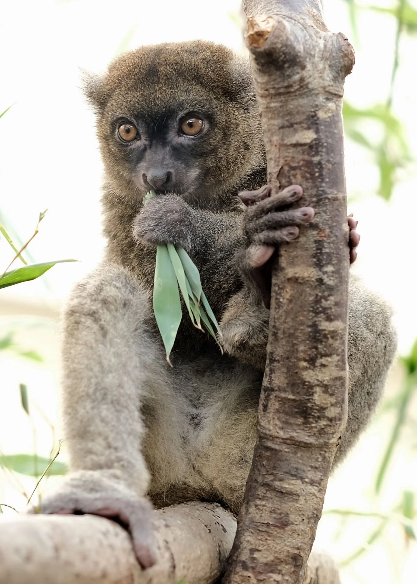 reinhard-galerie-zoo6.JPG