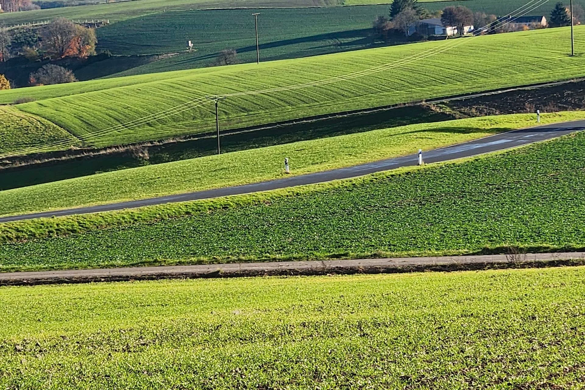 Klaus - Themenfrei II