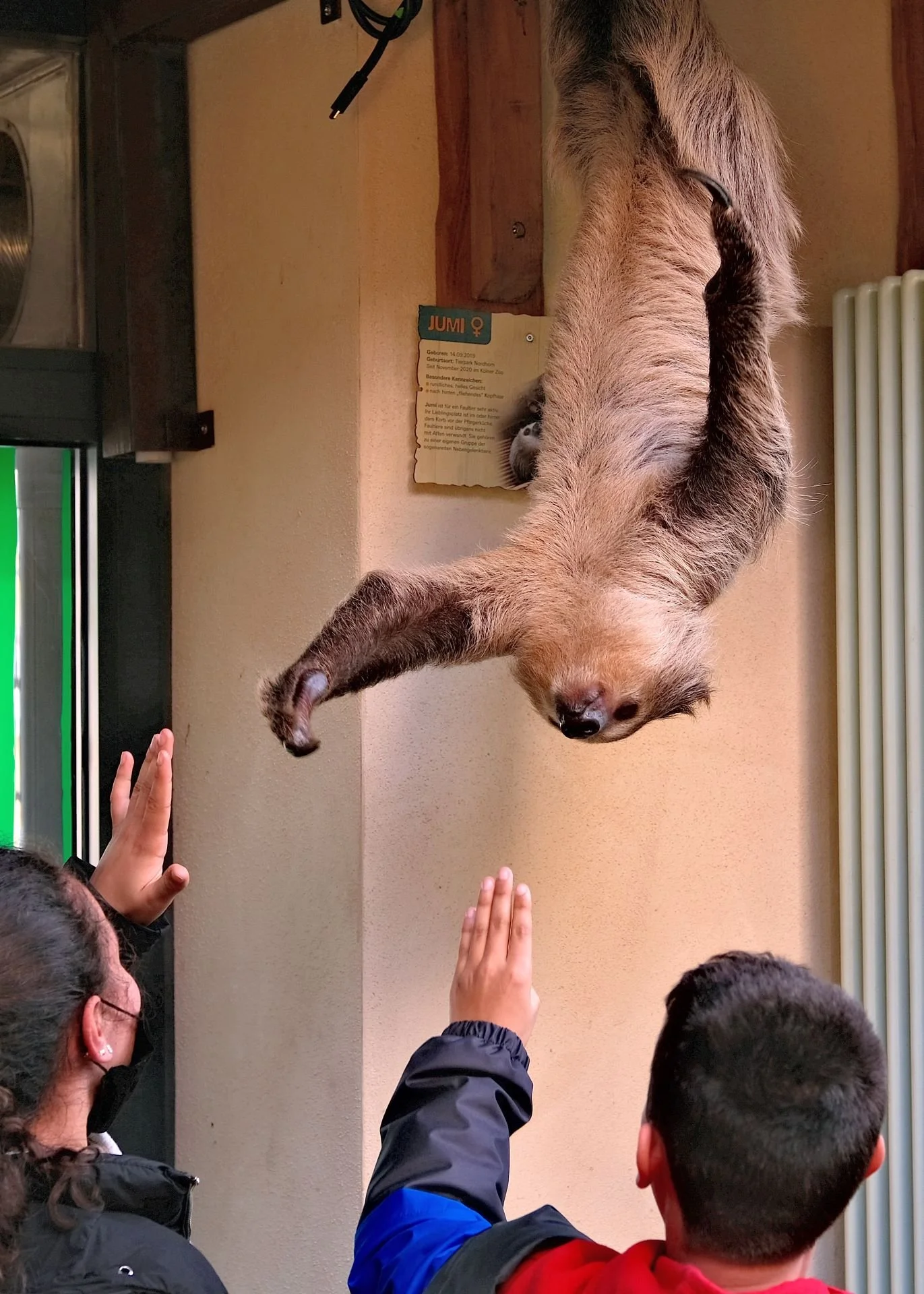 reinhard-galerie-zoo4.JPG