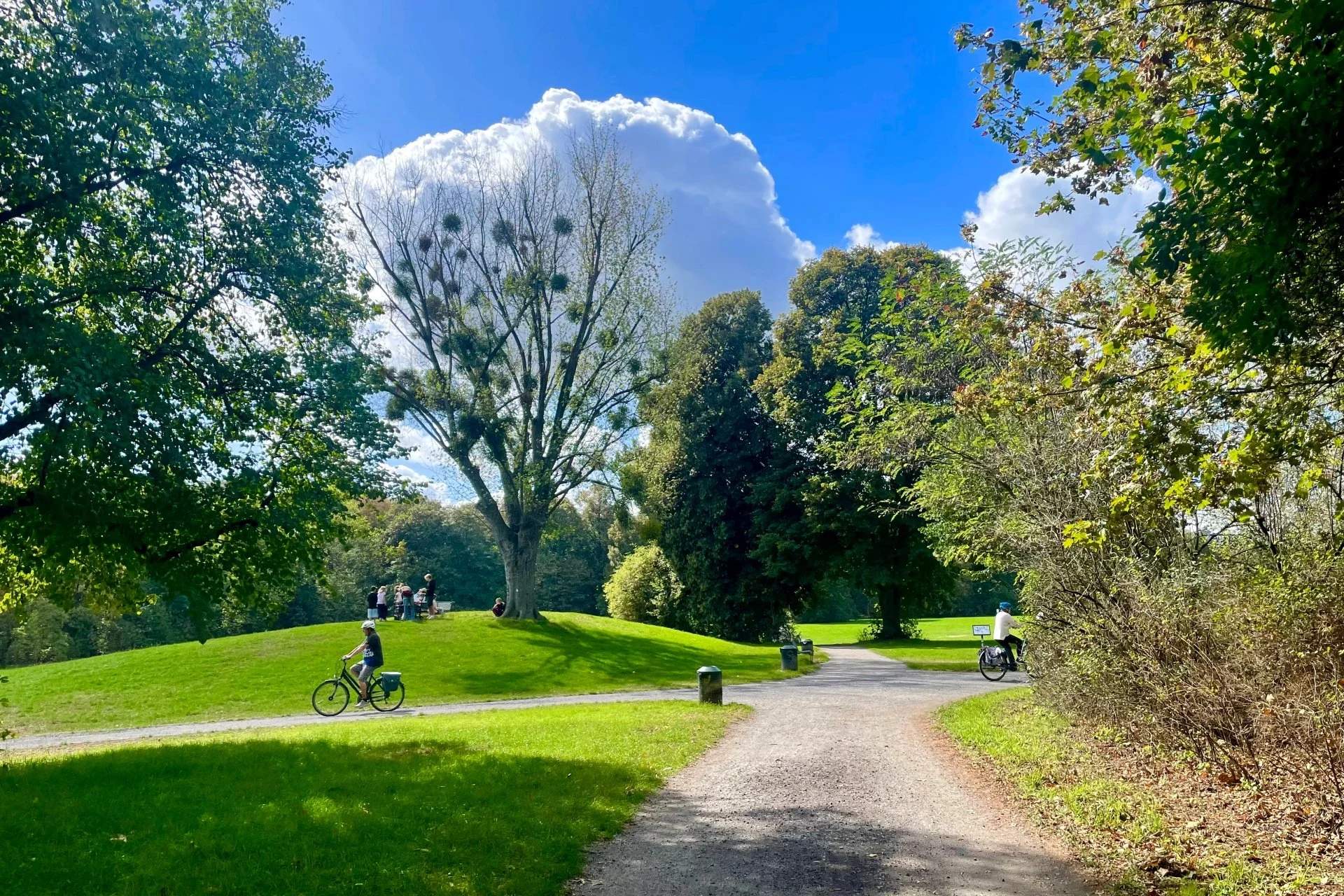 Erika - Parks und Gärten II