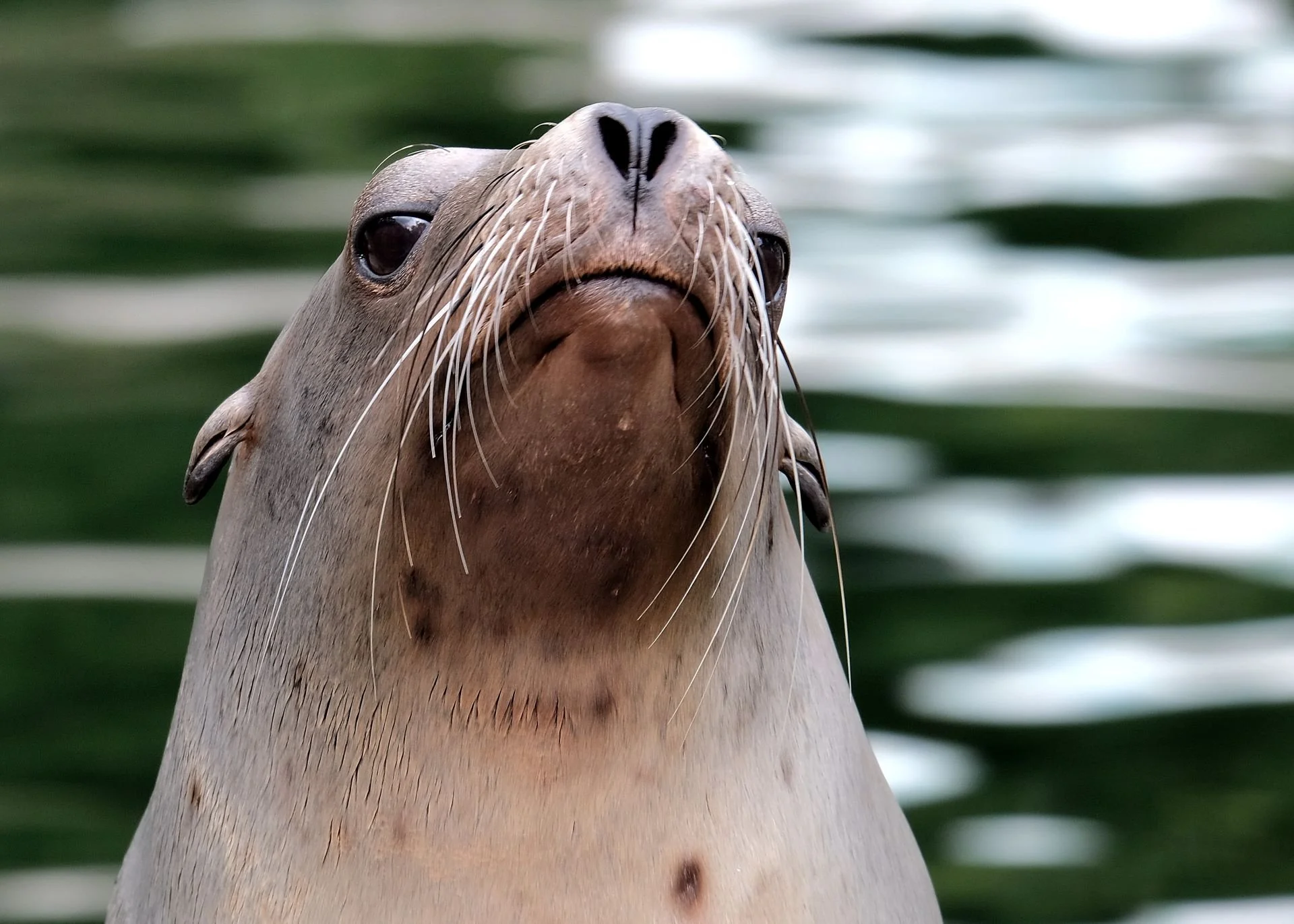reinhard-galerie-zoo14.JPG