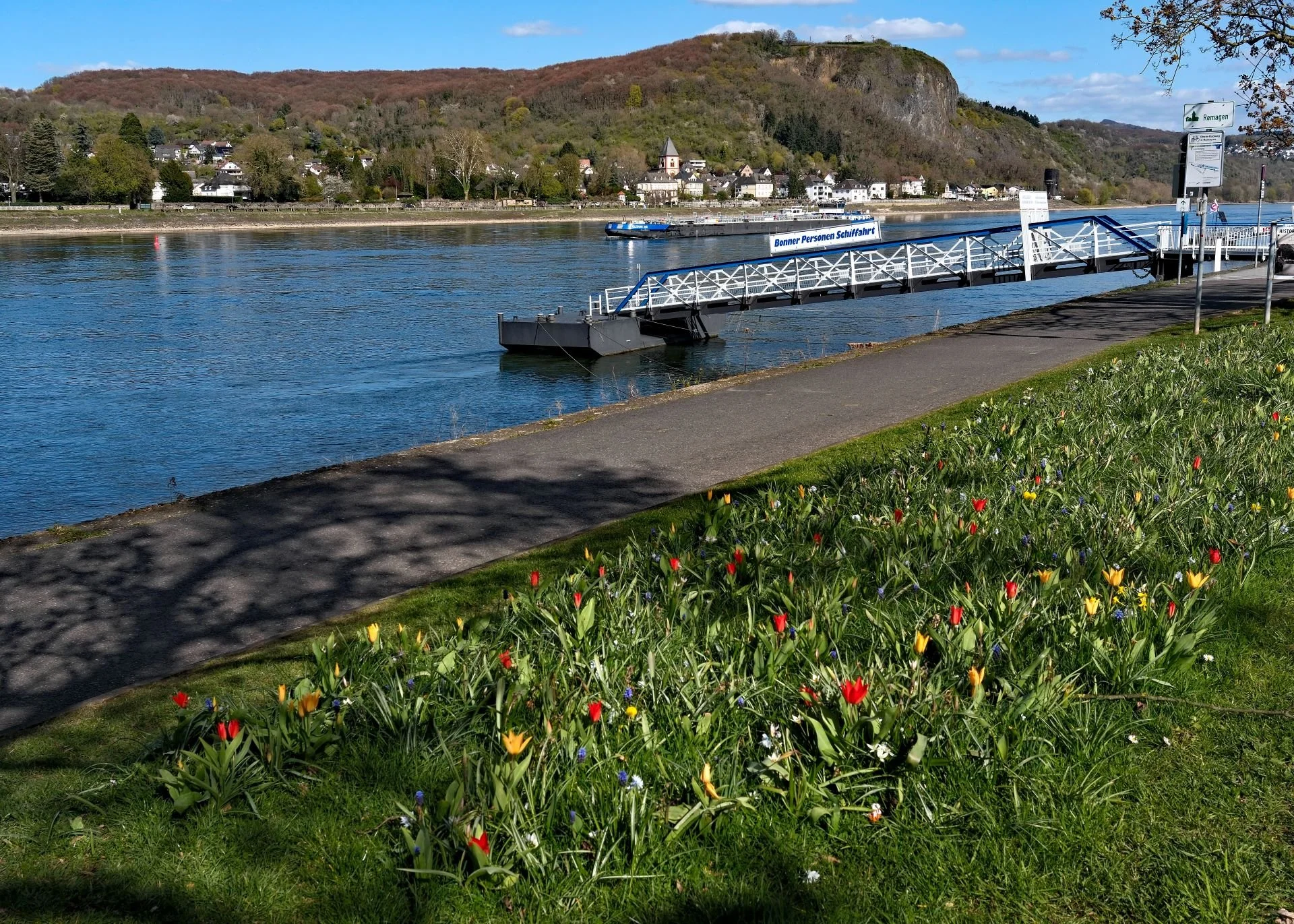 Reinhard - Frühling II