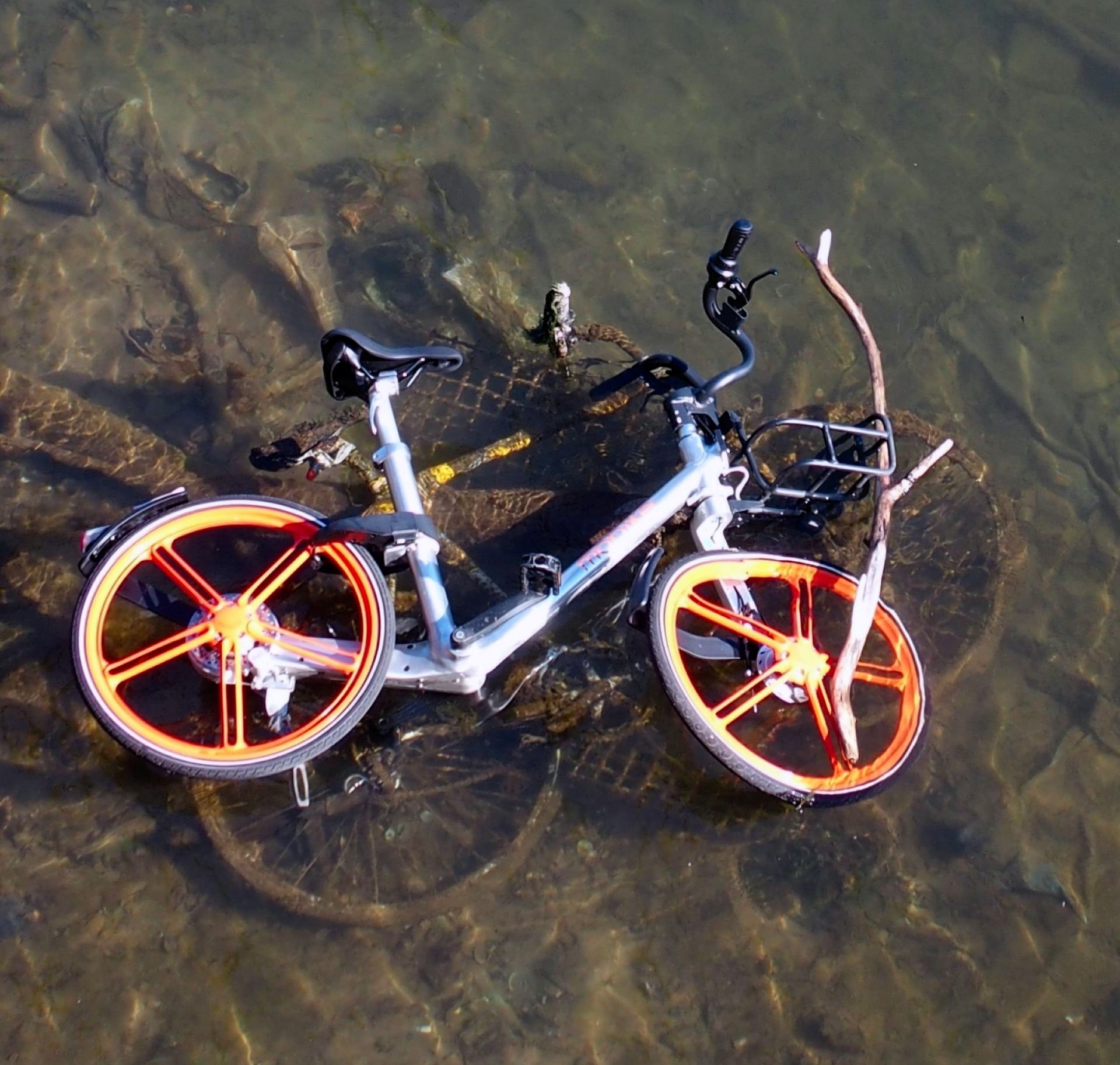 Doris - Fahrräder I